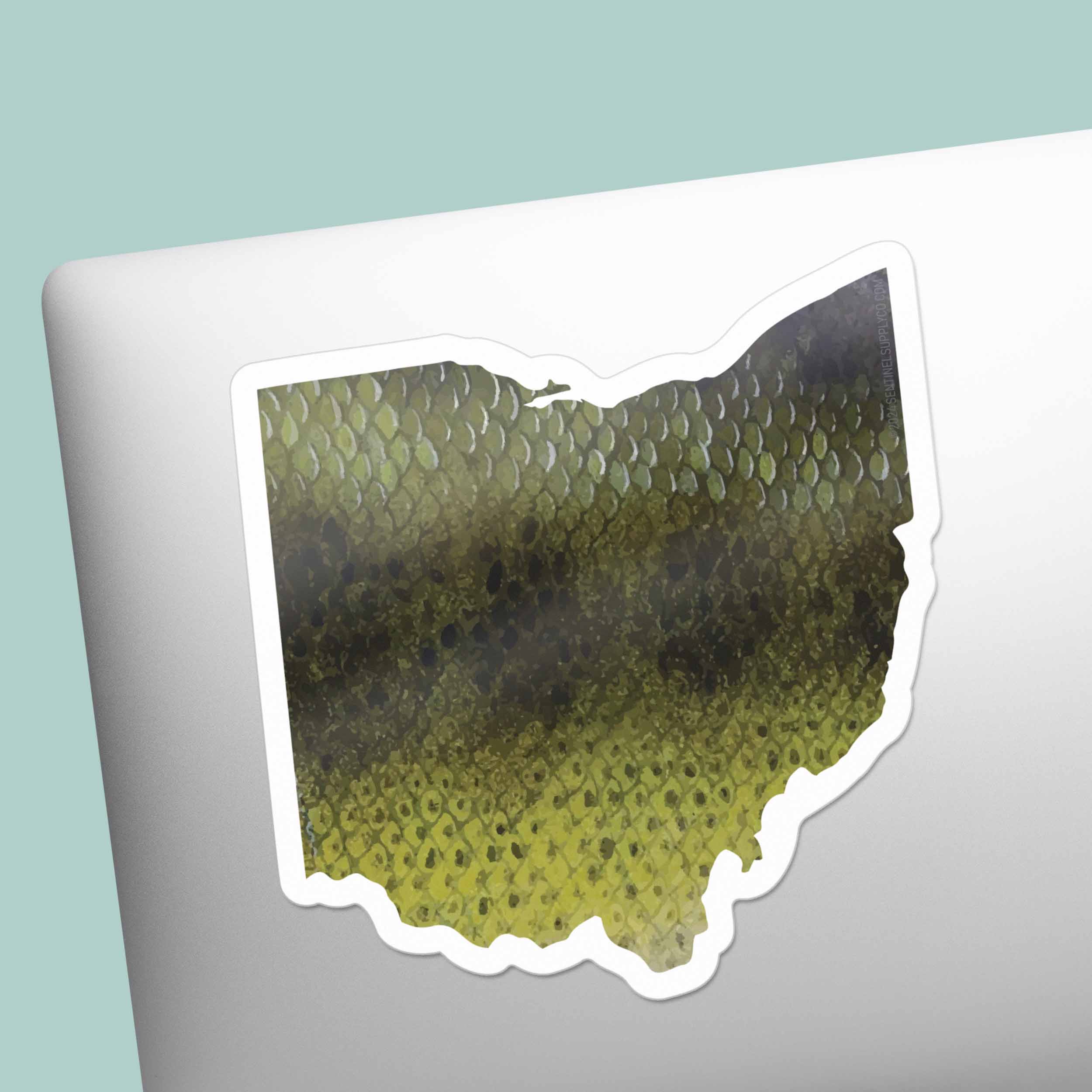 Largemouth Bass Ohio Sticker - OH Fishing Decal