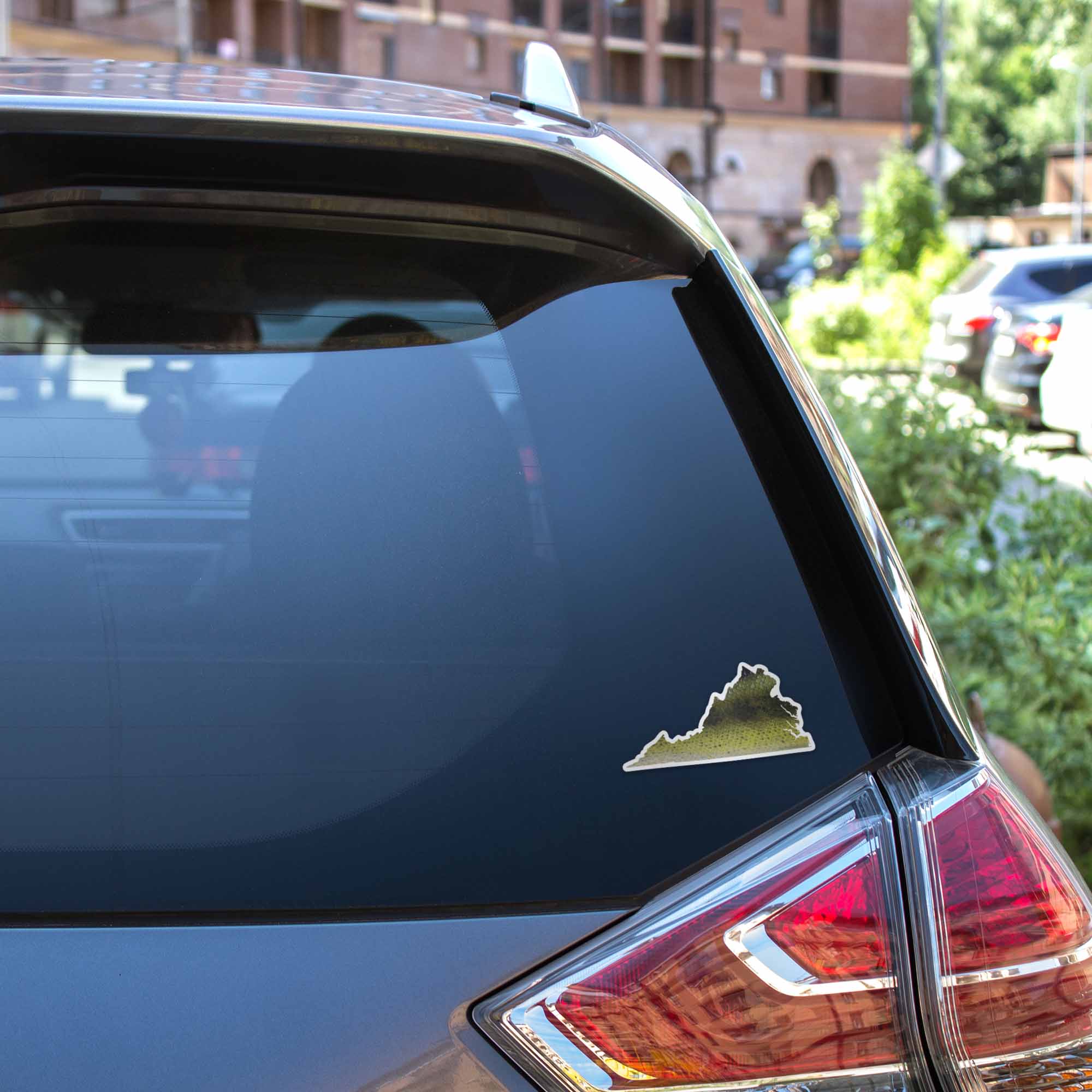 Largemouth Bass Virginia Fishing Sticker