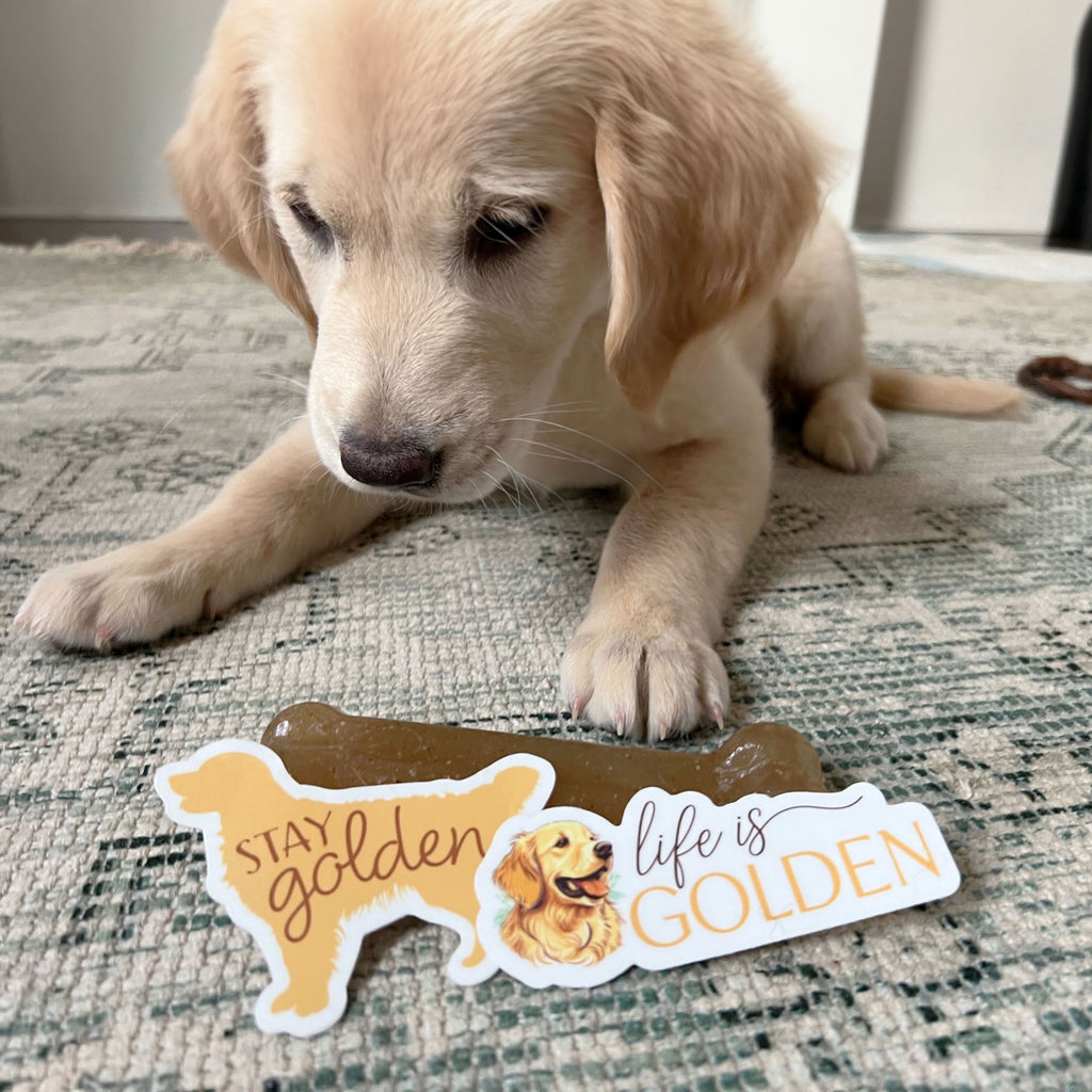 Life is Golden - Cute Golden Retriever Dog Sticker