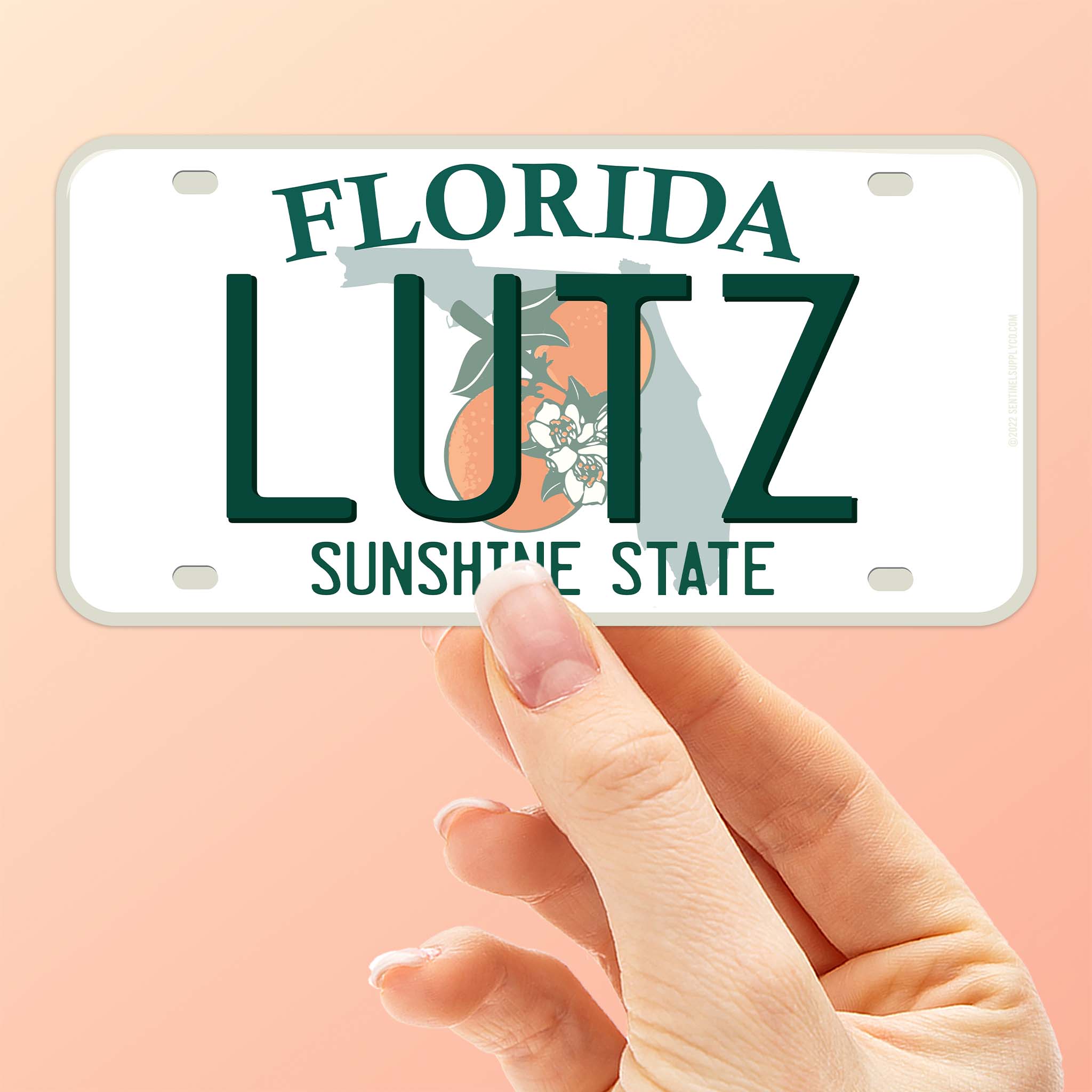 Florida License Plate Stickers - Choose Your FL City or National Park Decal