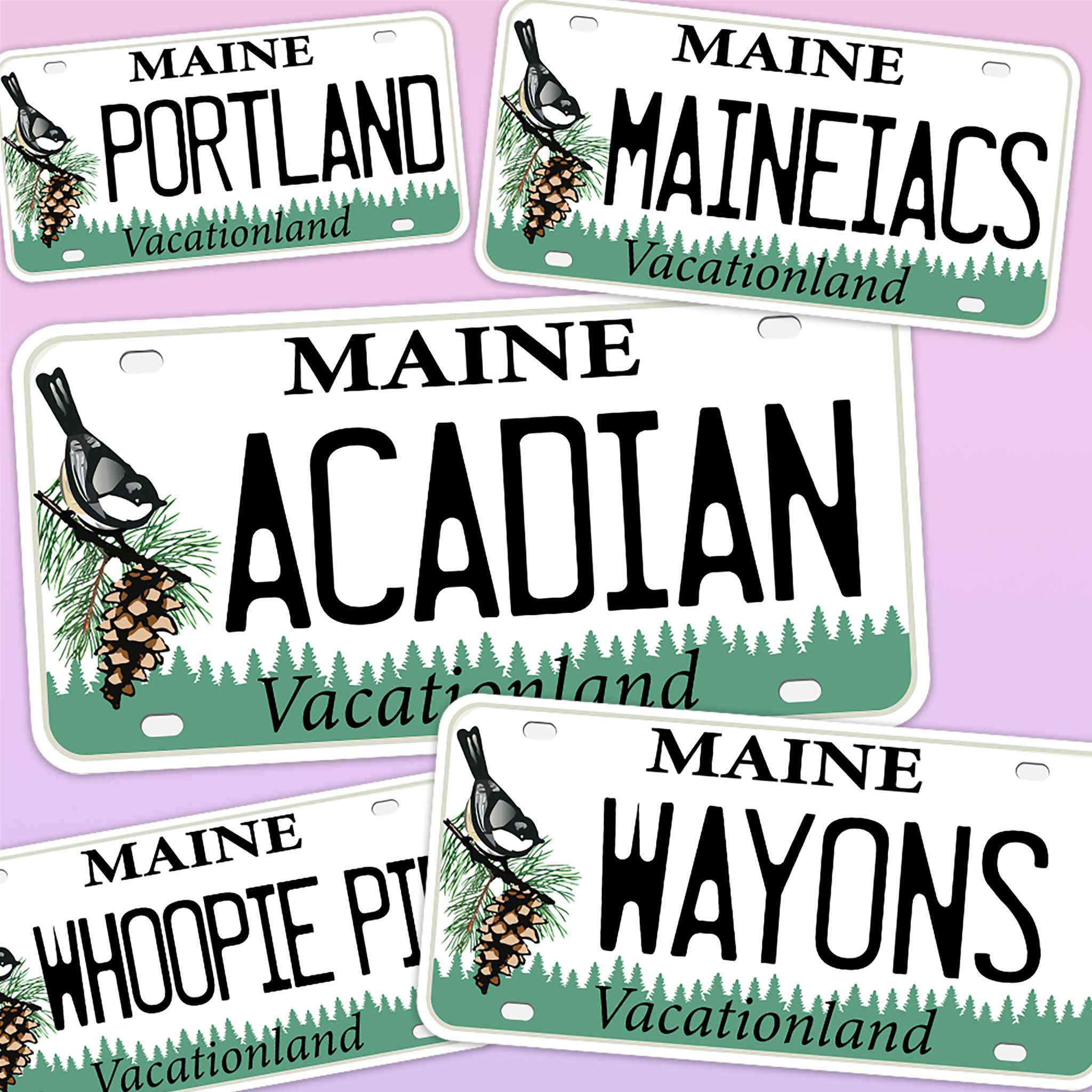 Maine License Plate Stickers - Choose Your ME City Decal