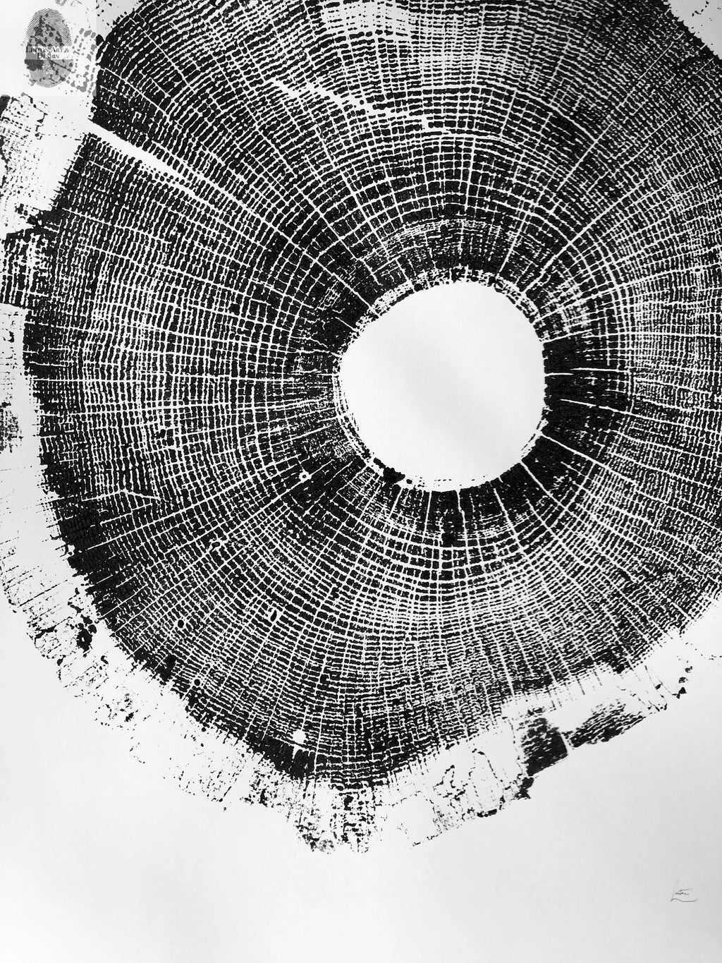 North Carolina Tree Art - Oak - 18x24 print