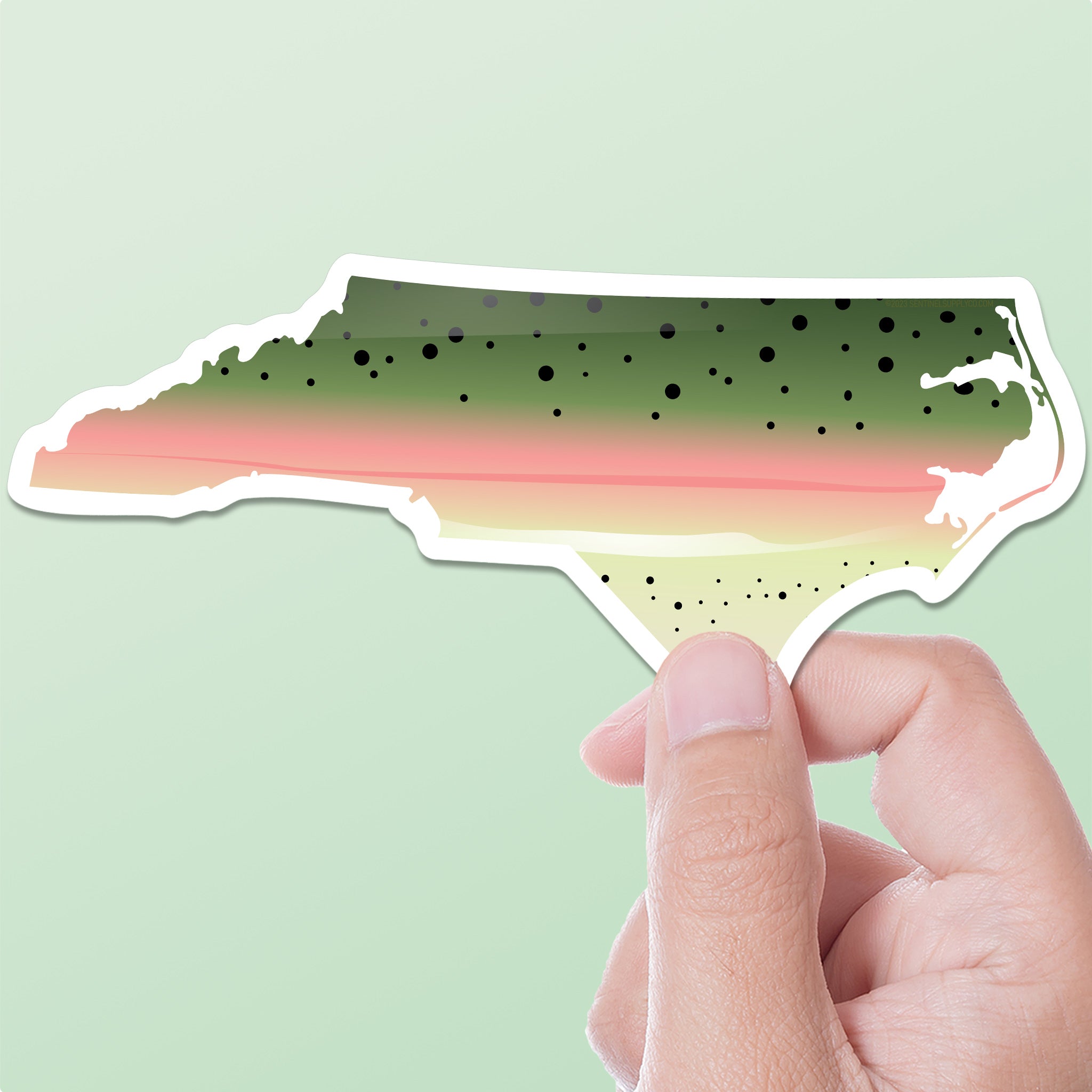 Rainbow Trout North Carolina Sticker - NC Fishing Decal