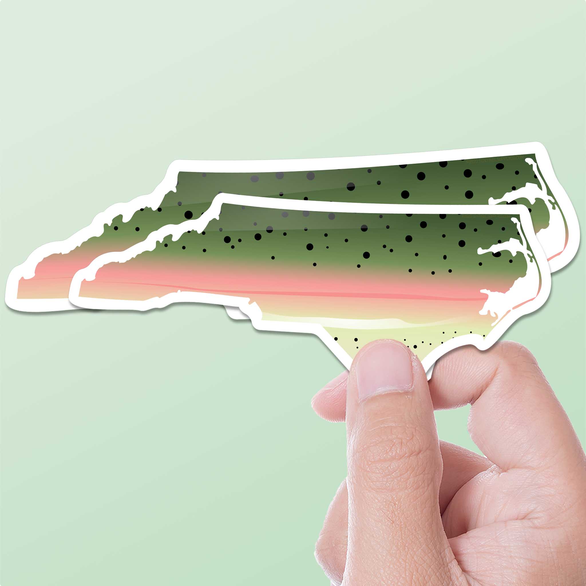 Rainbow Trout North Carolina Sticker - NC Fishing Decal