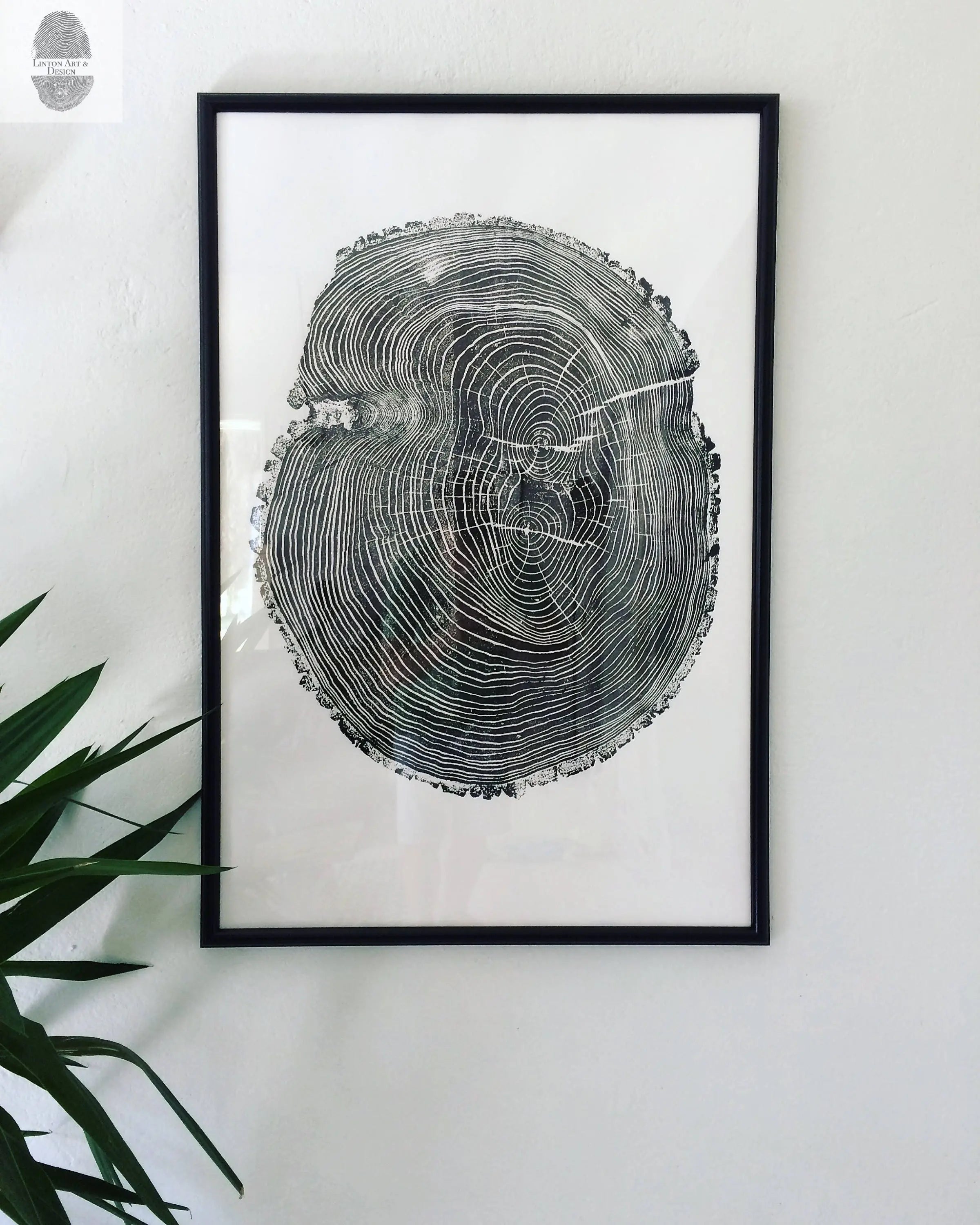Ohio State, Ash Tree, Tree ring print, woodcut print, Lumber, Live edge, Biology Gifts, Arborist, Signed Original - 24x36 print