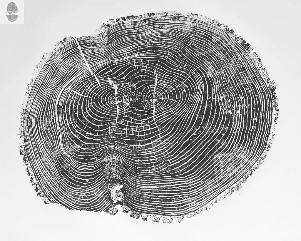 Ohio State, Ash Tree, Tree ring print, woodcut print, Lumber, Live edge, Biology Gifts, Arborist, Signed Original - 24x36 print