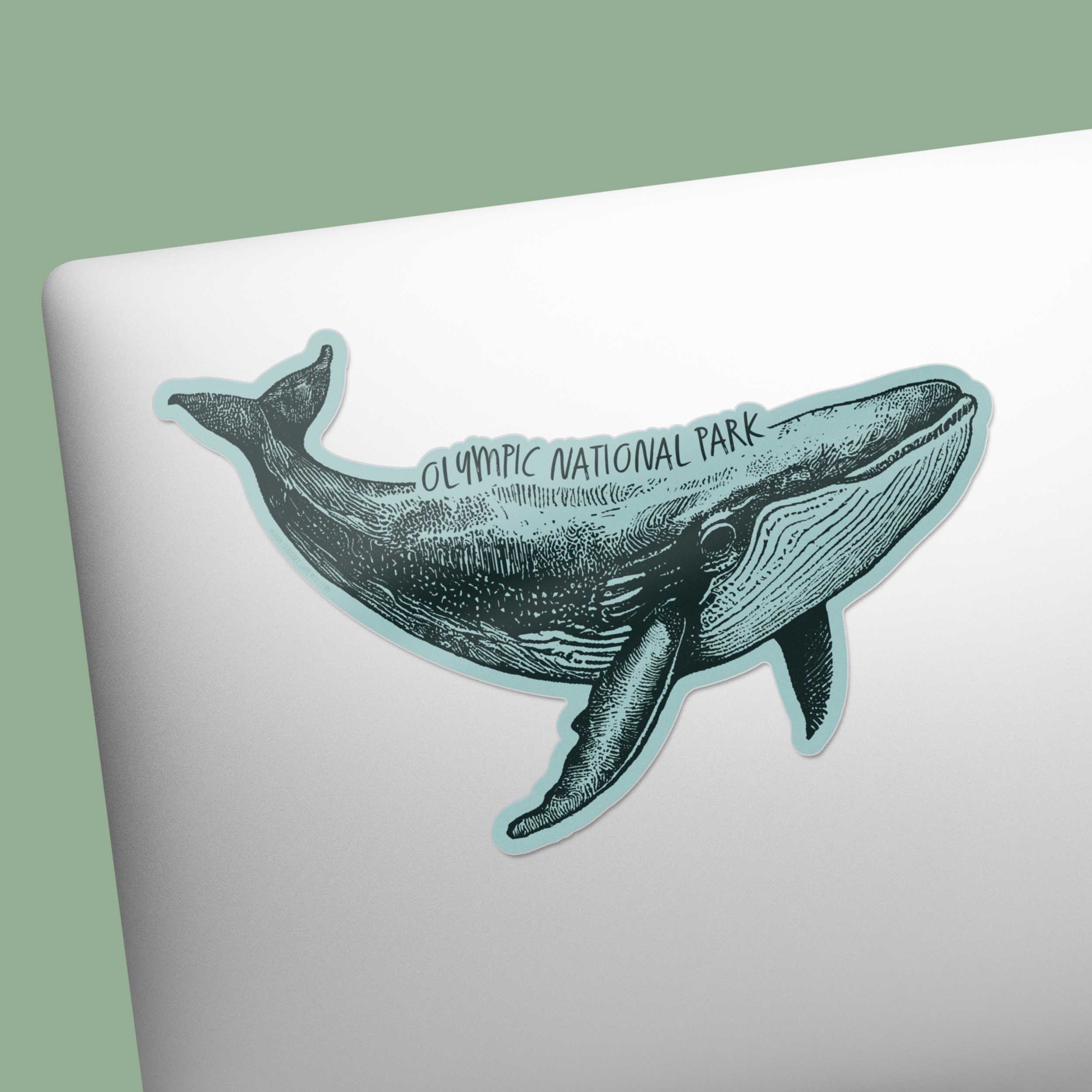 Olympic National Park Humpback Whale Sticker