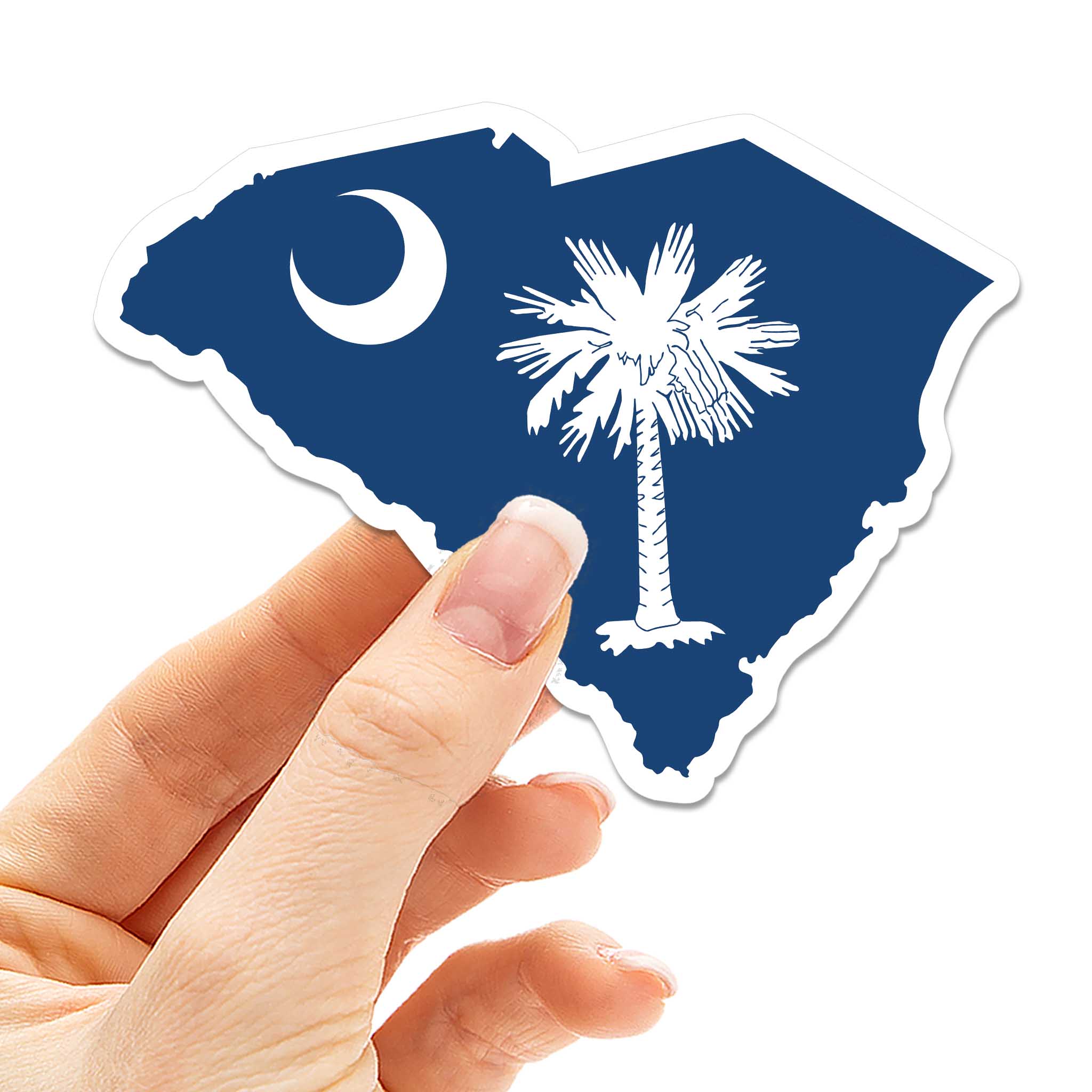 Palmetto South Carolina Car Magnet - Flexible SC Fridge Magnet