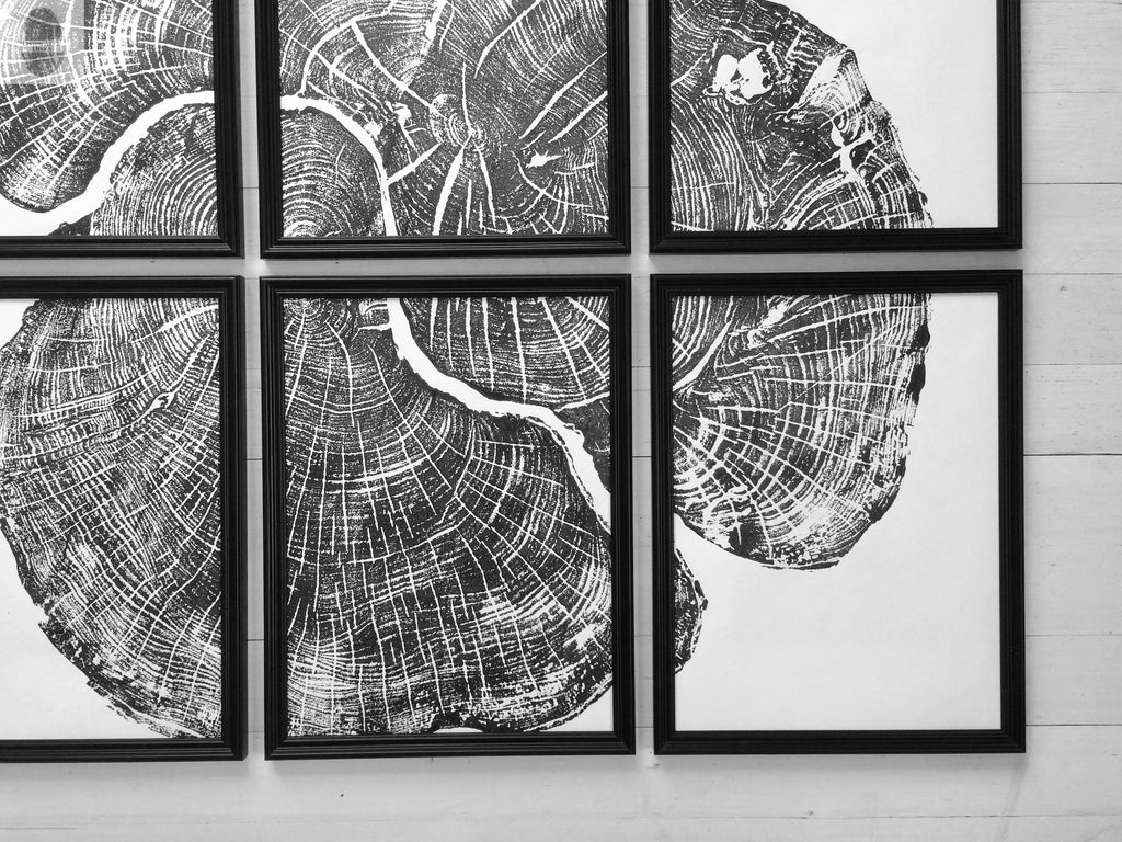 Pennsylvania Sugar Maple Set of 6 - 12x16 each print