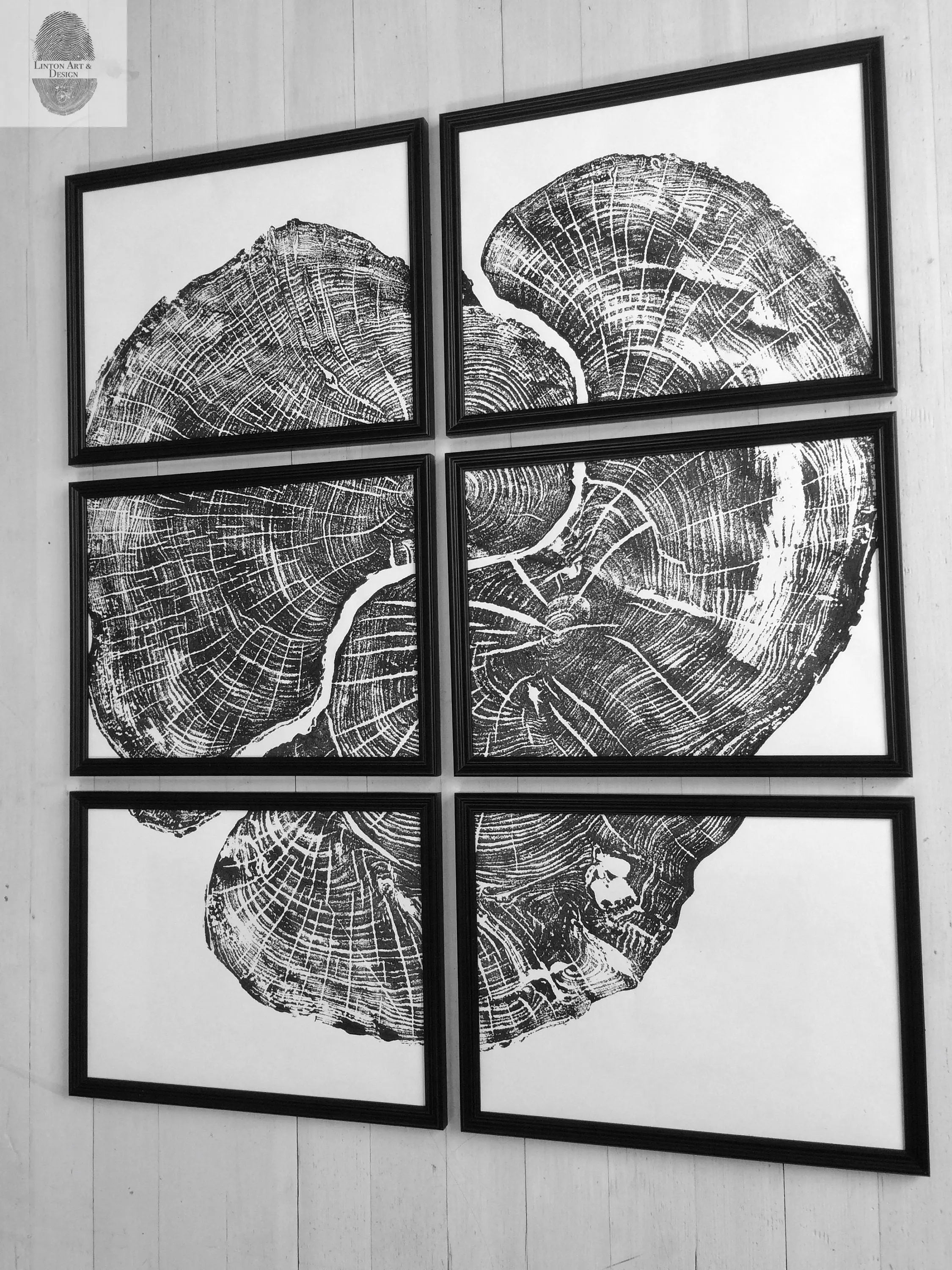 Pennsylvania Sugar Maple Set of 6 - 12x16 each print