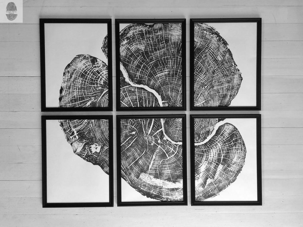Pennsylvania Sugar Maple Set of 6 - 12x16 each print