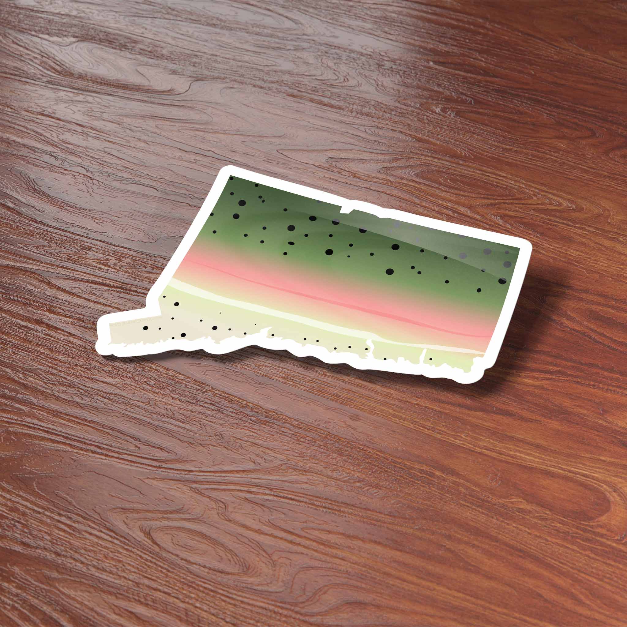Rainbow Trout Connecticut Sticker - CT Fishing Decal