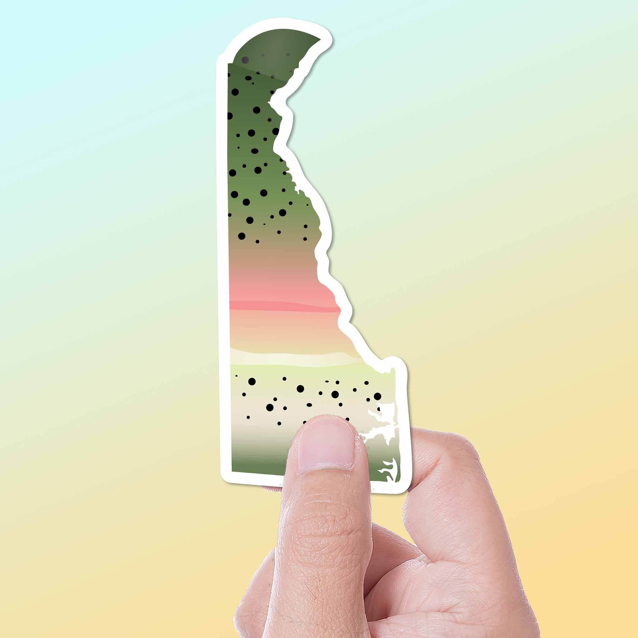 Rainbow Trout Delaware Sticker - DE Fishing Decal
