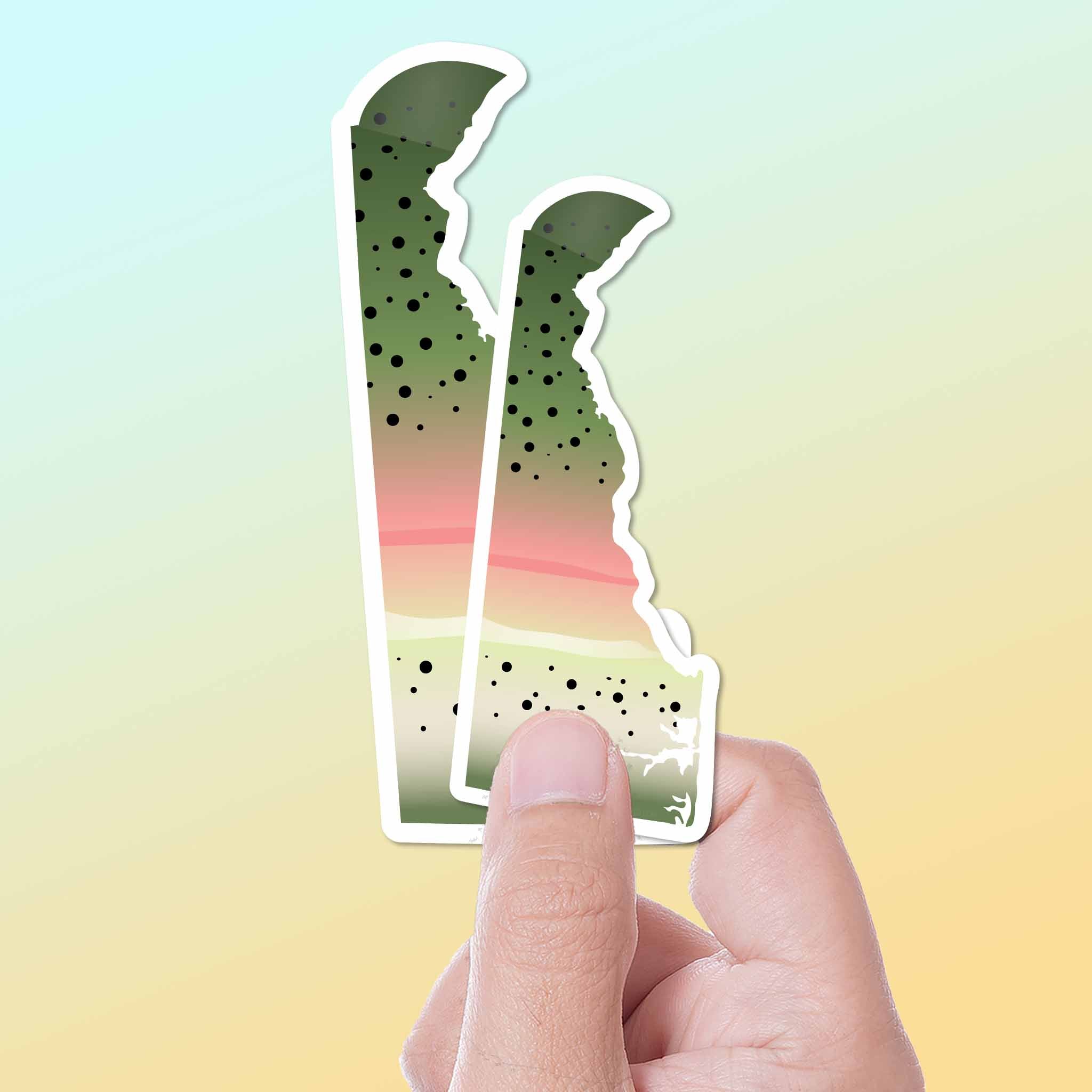 Rainbow Trout Delaware Sticker - DE Fishing Decal