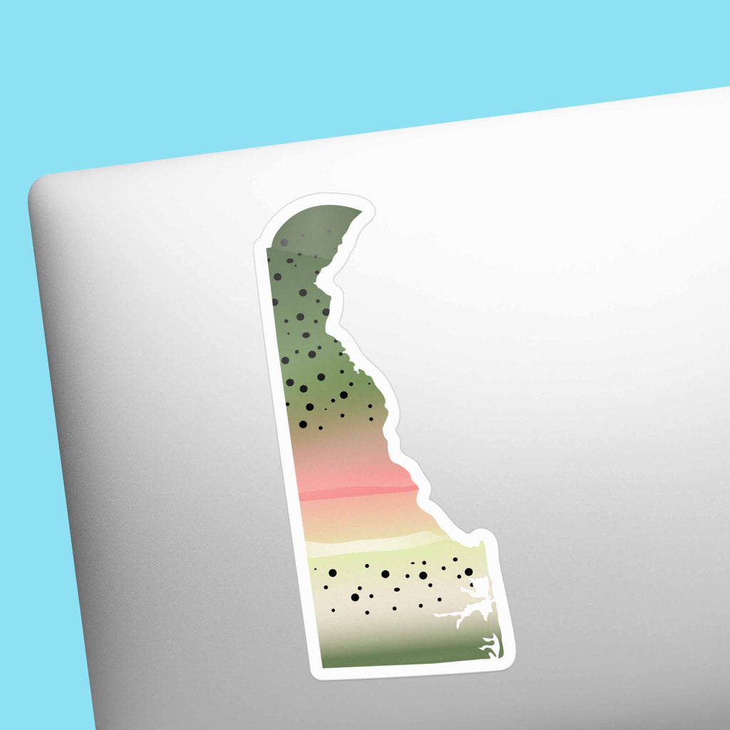 Rainbow Trout Delaware Sticker - DE Fishing Decal