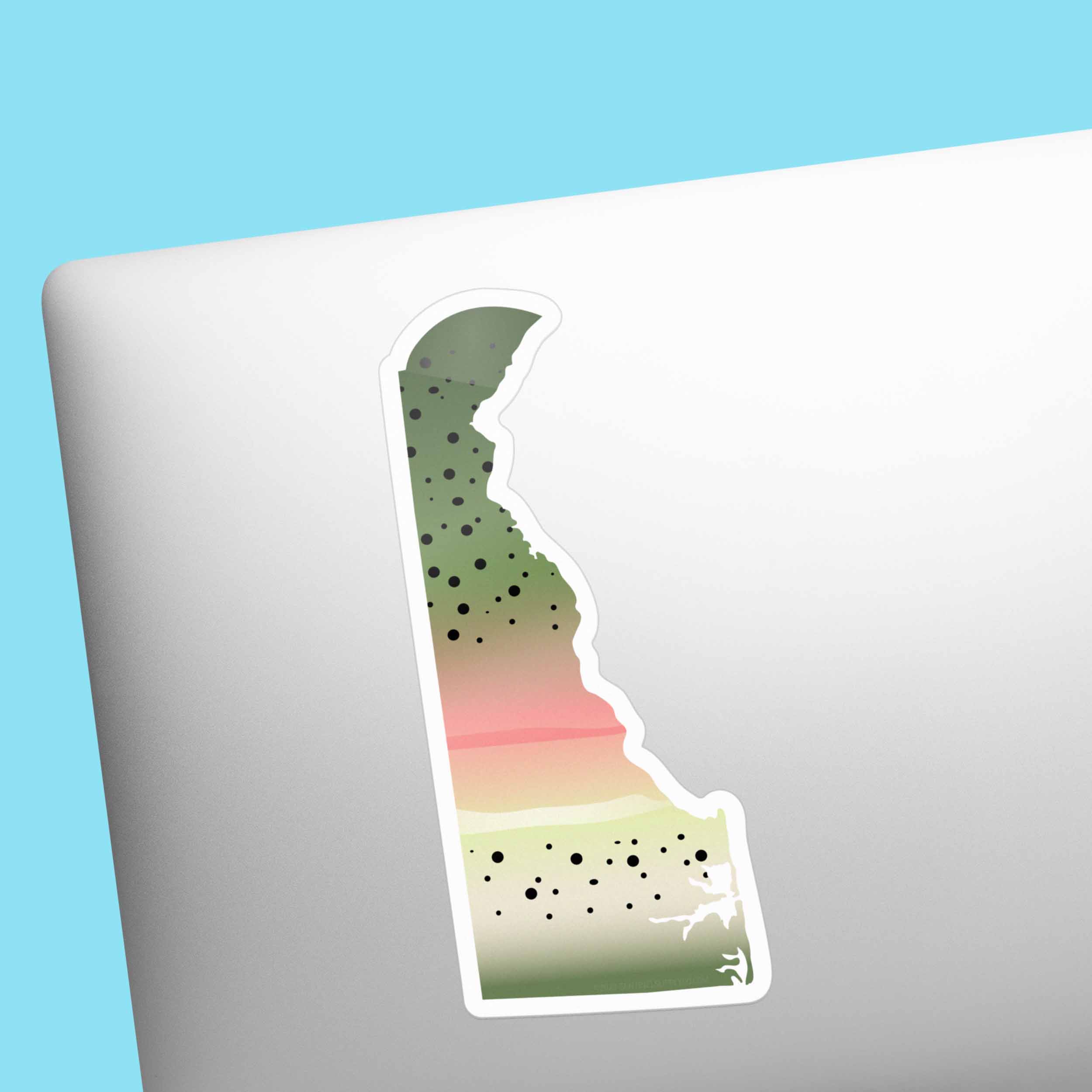Rainbow Trout Delaware Sticker - DE Fishing Decal