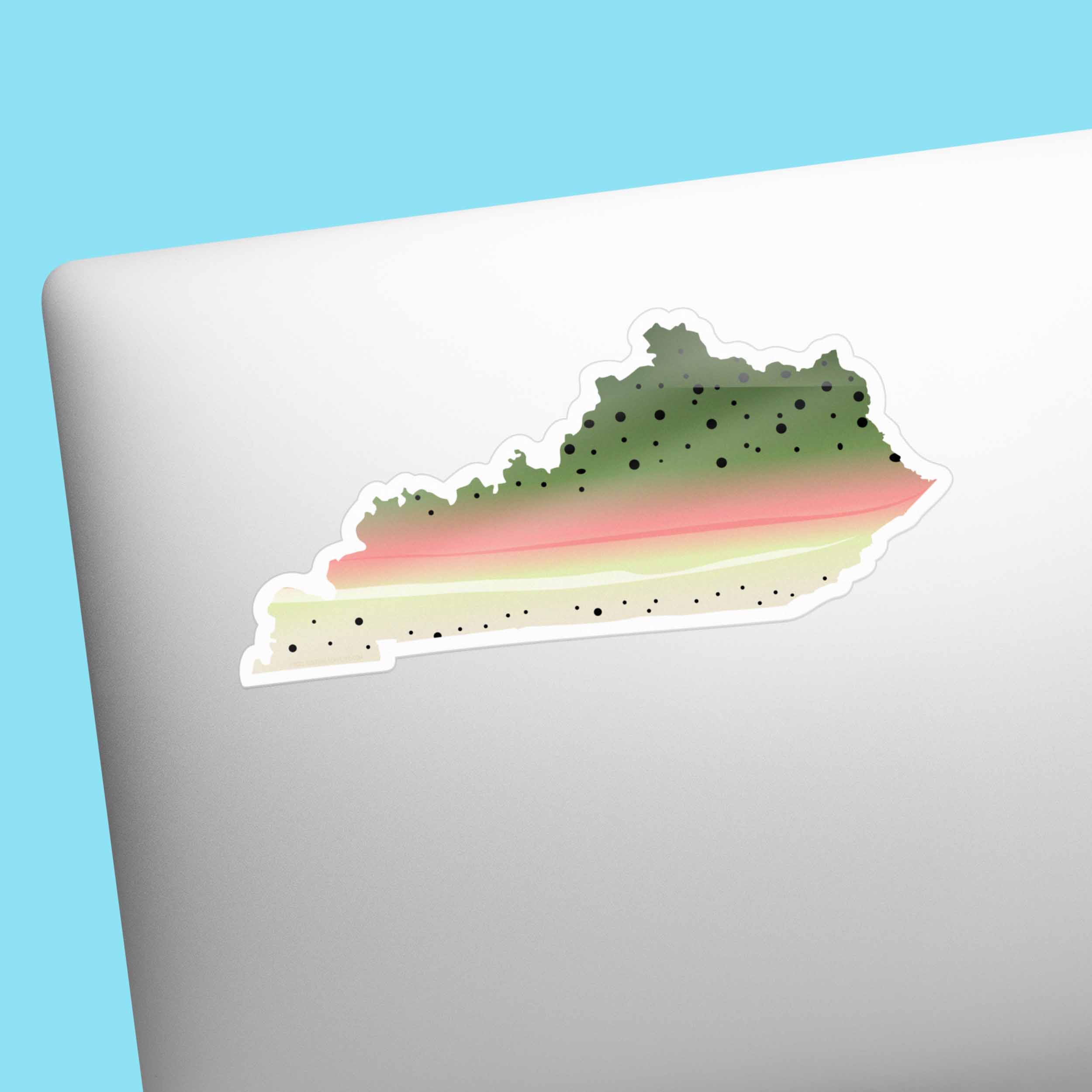 Rainbow Trout Kentucky Sticker - KY Fishing Decal