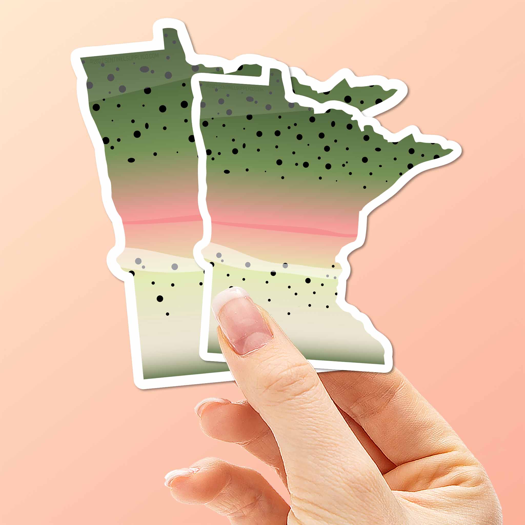 Rainbow Trout Minnesota Sticker - MN Fishing Decal