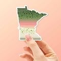 Rainbow Trout Minnesota Sticker - MN Fishing Decal