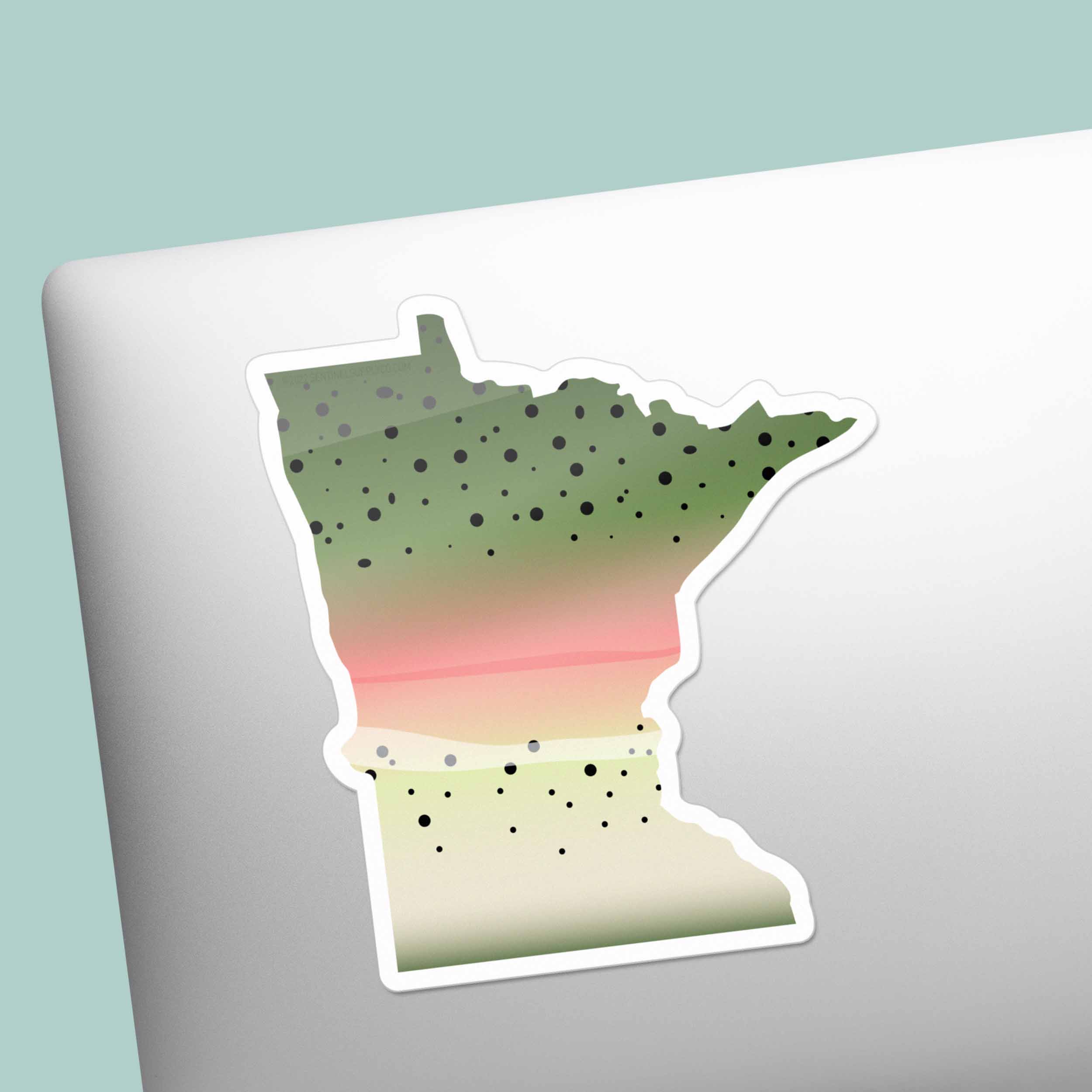 Rainbow Trout Minnesota Sticker - MN Fishing Decal