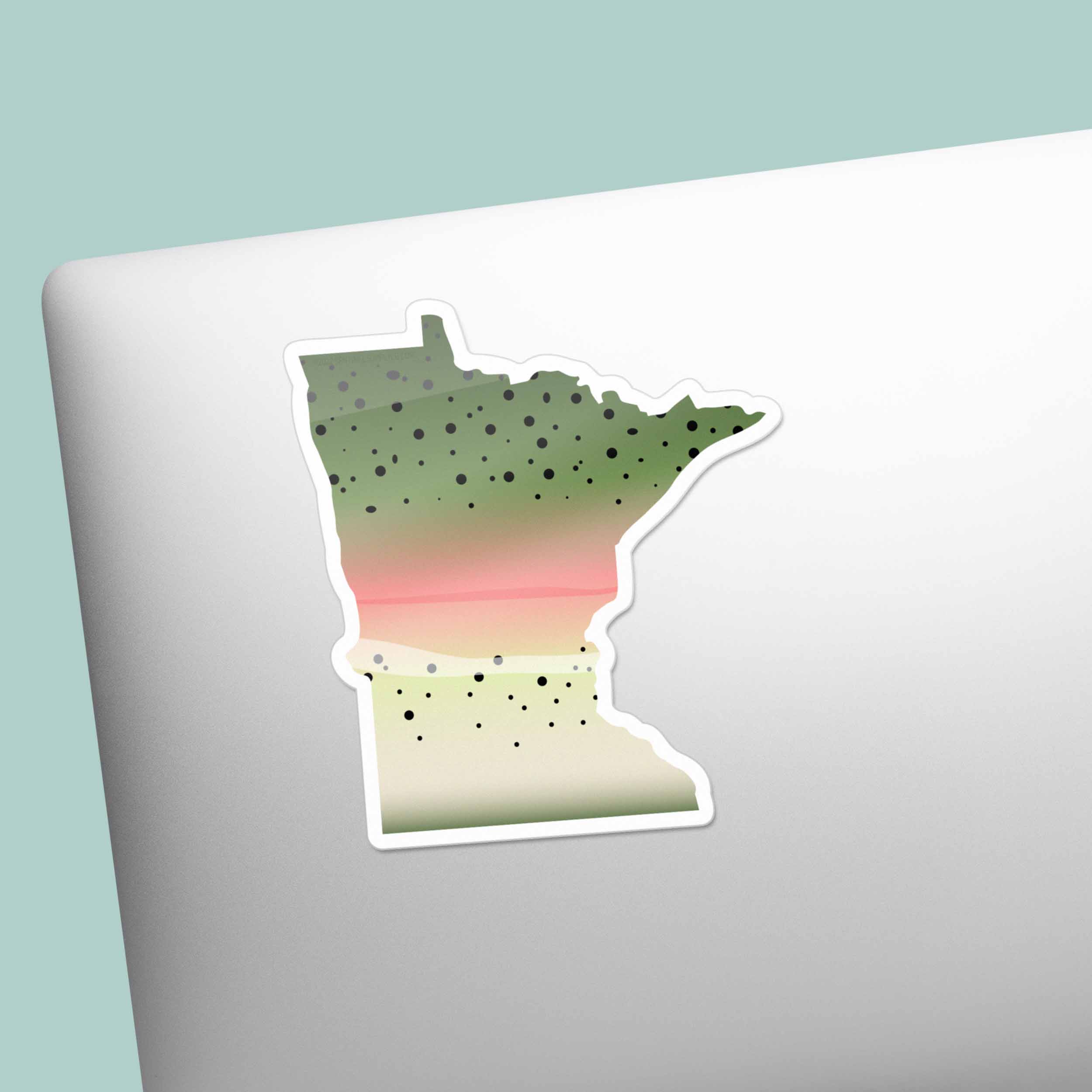 Rainbow Trout Minnesota Sticker - MN Fishing Decal