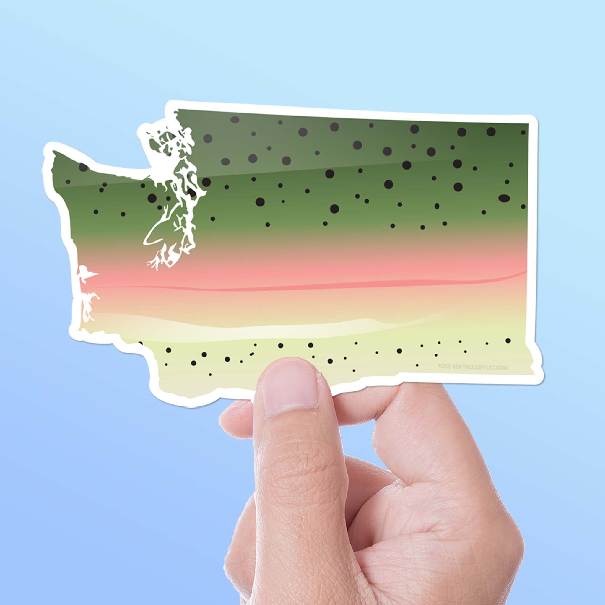 Rainbow Trout Washington Fishing Sticker
