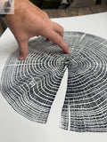 Red Oak Tree Ring Print – Spartanburg County, SC – 18x24 Original Signed Woodcut