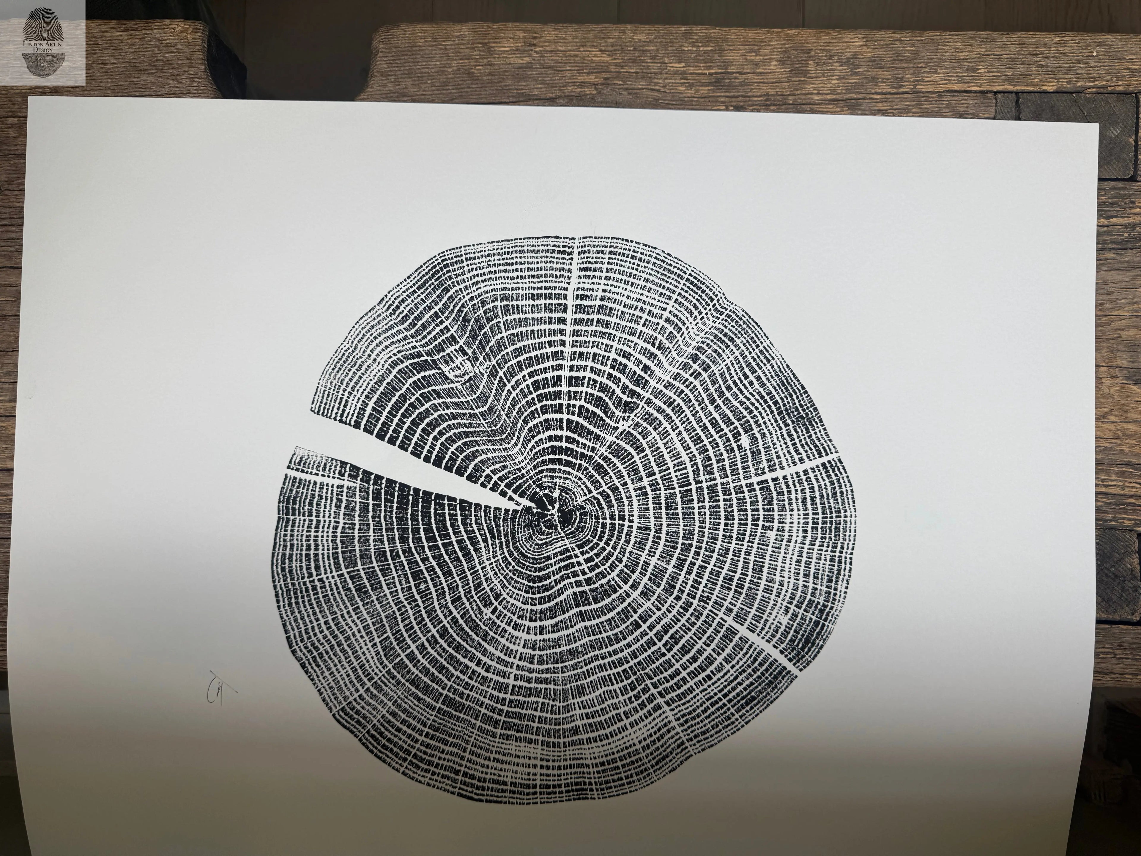 Red Oak Tree Ring Print – Spartanburg County, SC – 18x24 Original Signed Woodcut