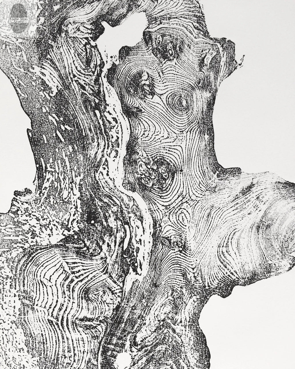 Redwood Burl, Tree Ring Print, Woodcut print, Tree of Life, , 24x36 print, Signed original Print