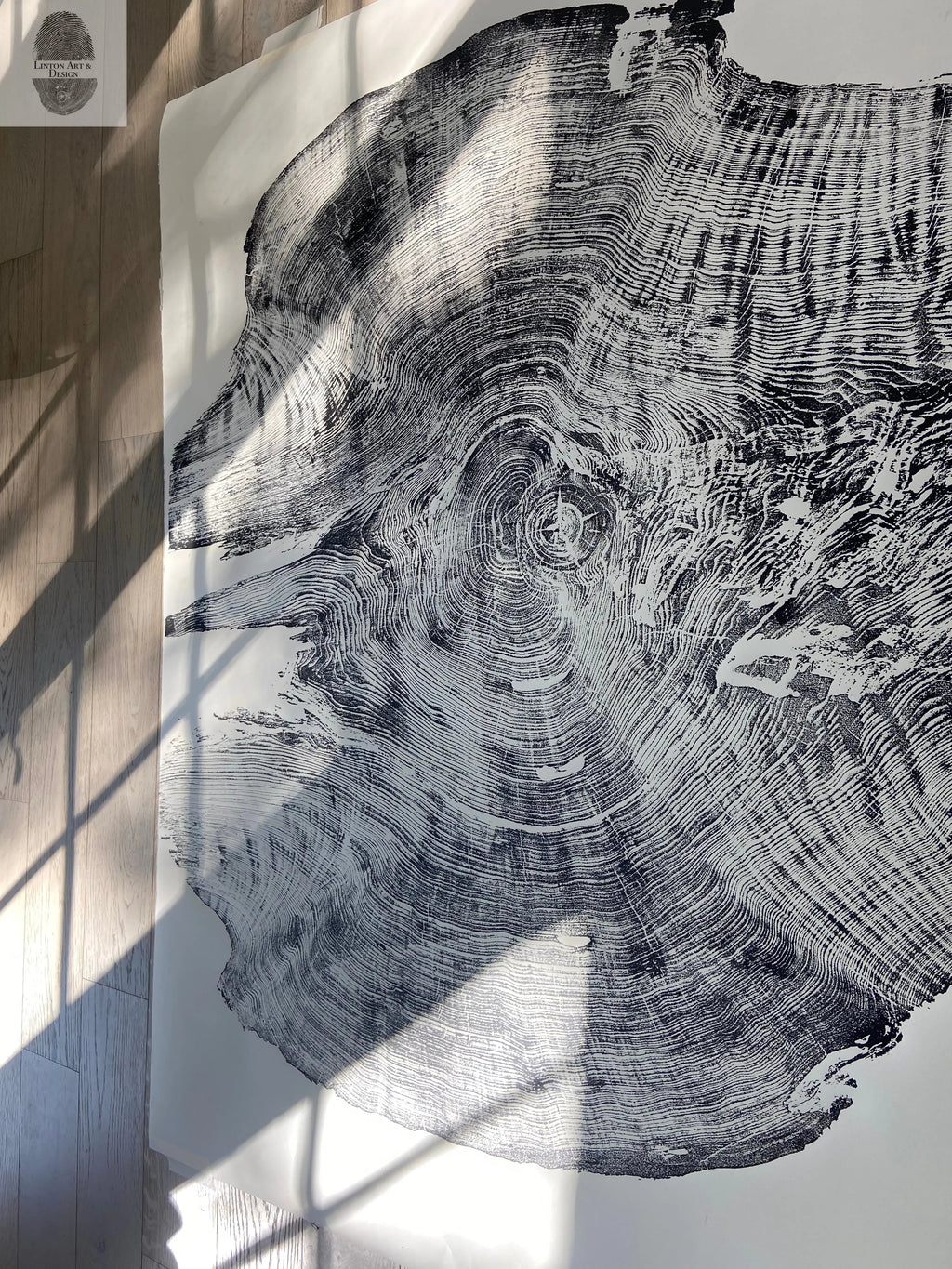 Redwood Tree, Tree Ring Print, California Coast, Wood Slice Wall Art, Huge Wall Art, Natural Wood Slices 52”x72”