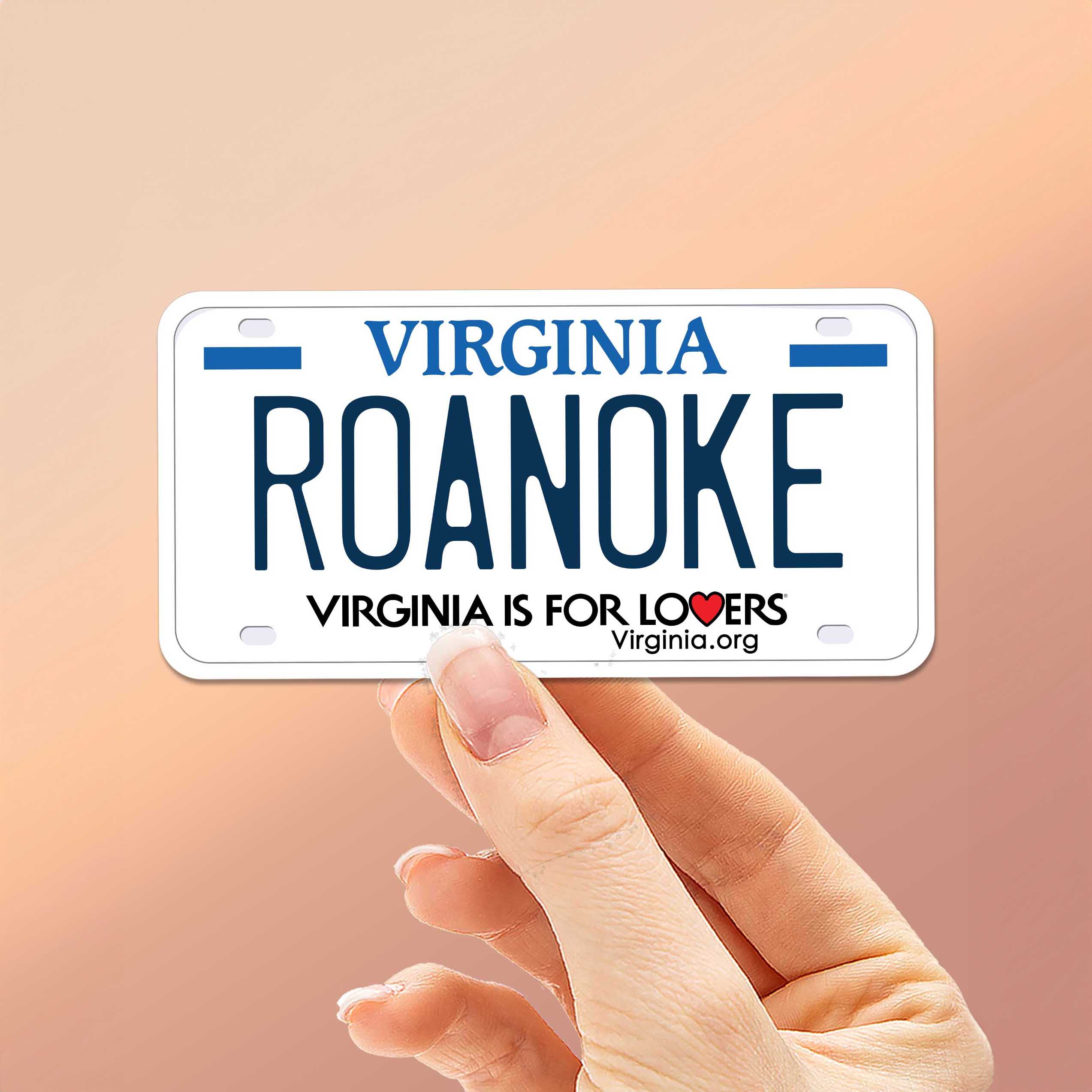 Virginia License Plate Stickers - Choose Your VA City