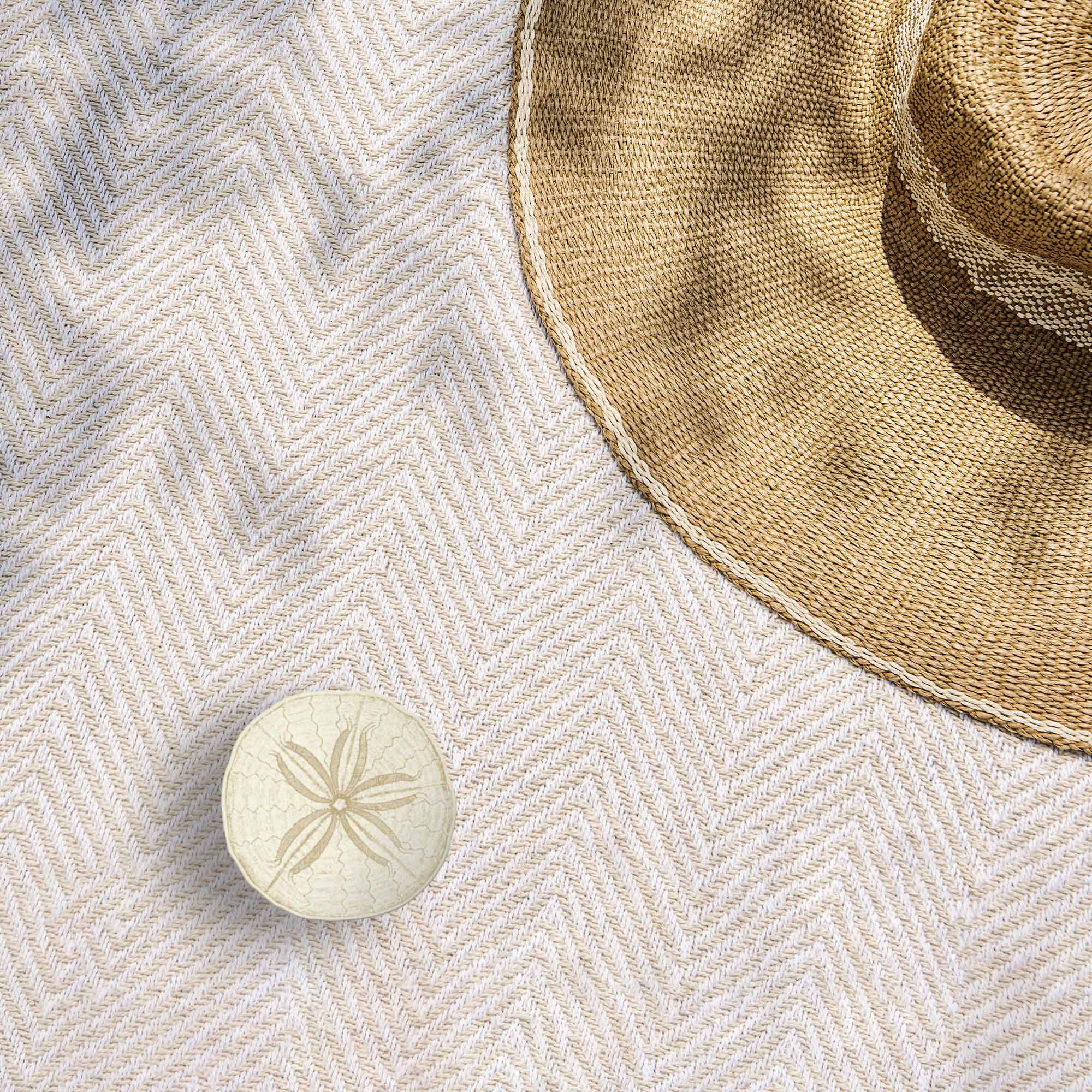 Sand Dollar Sticker - Cool Ocean Decal