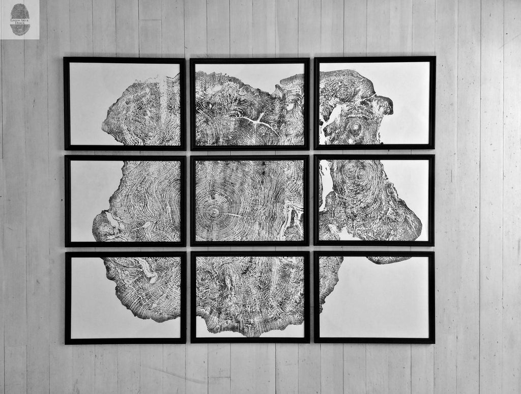 Set of 9 prints, Tree ring art, Maple Tree, Tree ring prints, Gallery wall art, Massachusetts Big Leaf Maple Tree 12x16 each prints