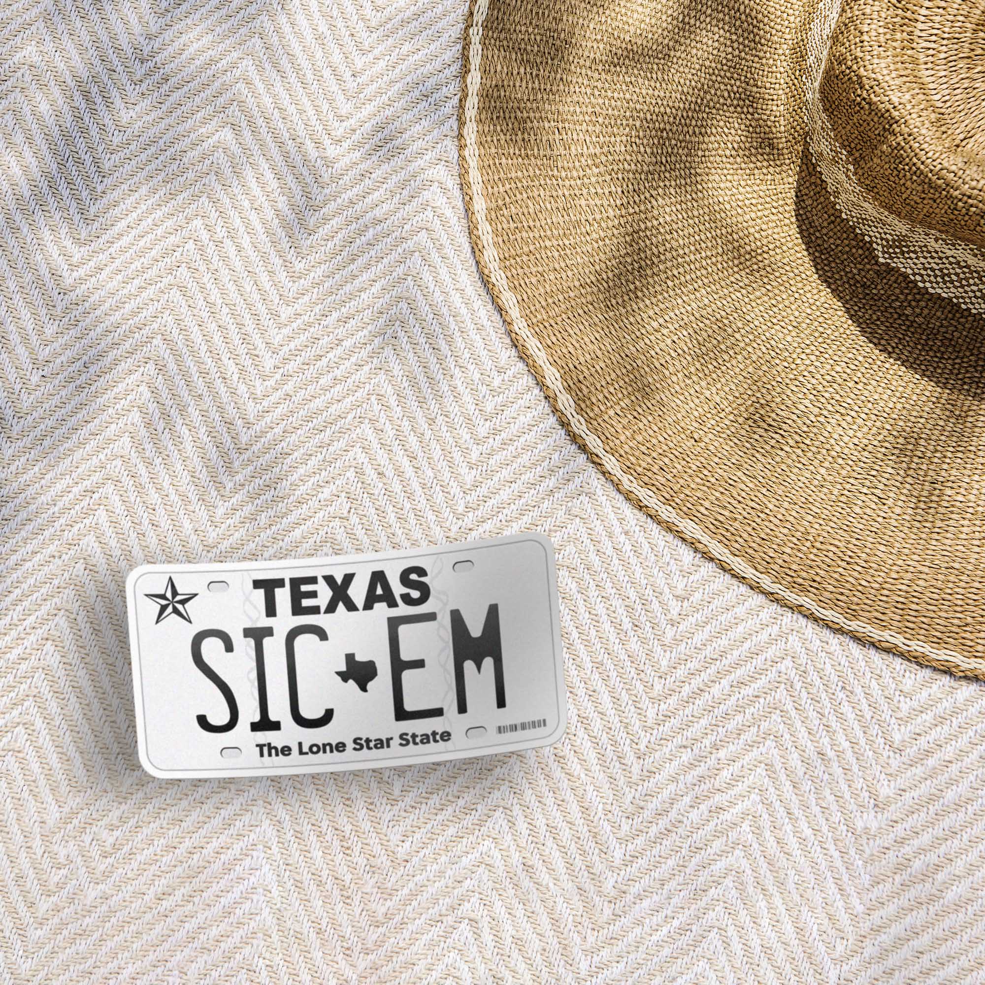 Texas License Plate Sticker - Choose from 50+ TX Cities
