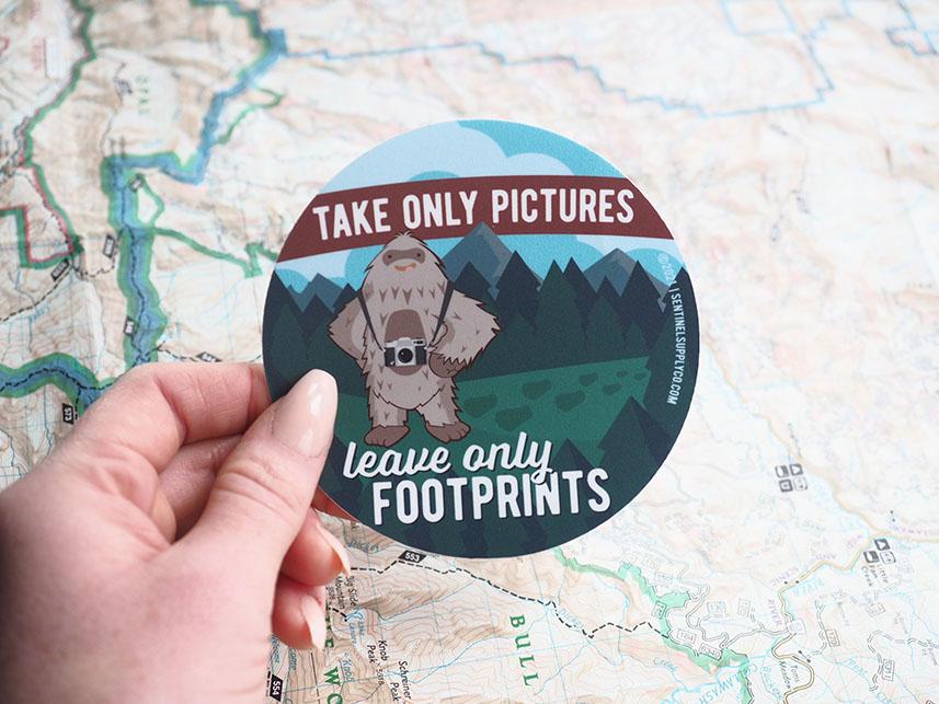 Bigfoot's Biggest Fan Set - 5 Sasquatch Stickers + Pinback Button