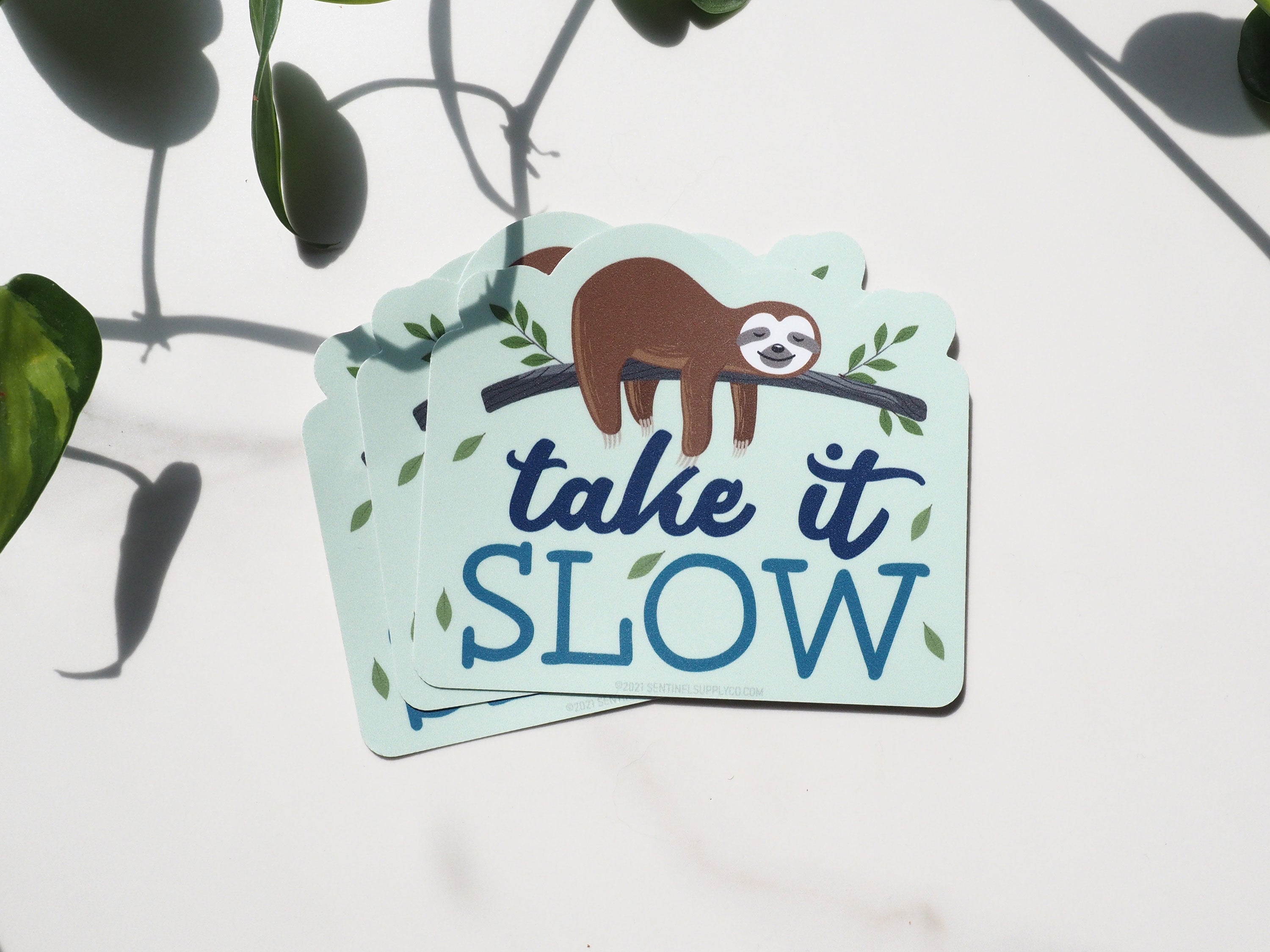 Take It Slow Sloth Magnet