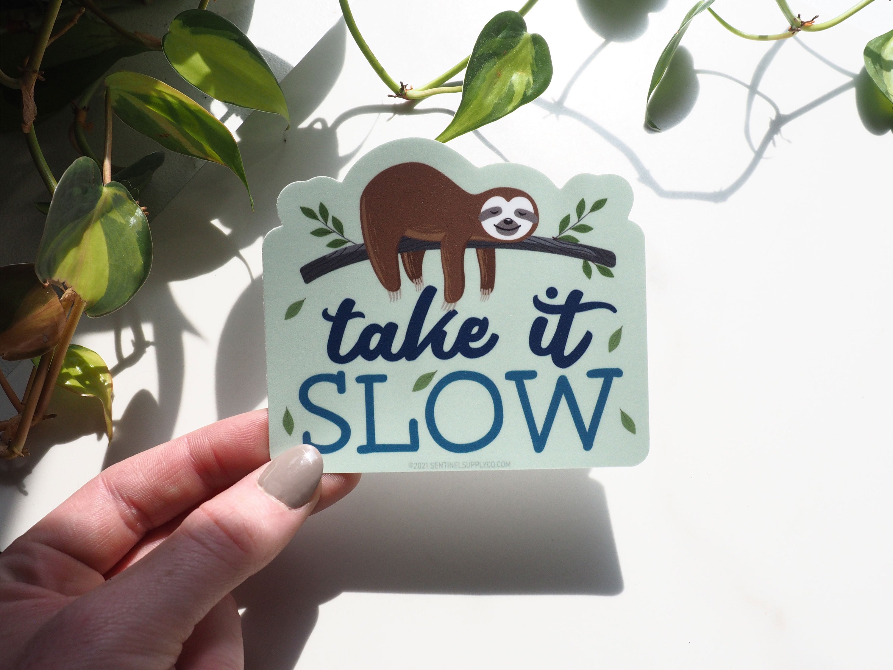 Take It Slow Sloth Sticker