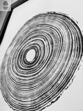 Tennessee Tree Print, Paulownia Empress - 18x24 print