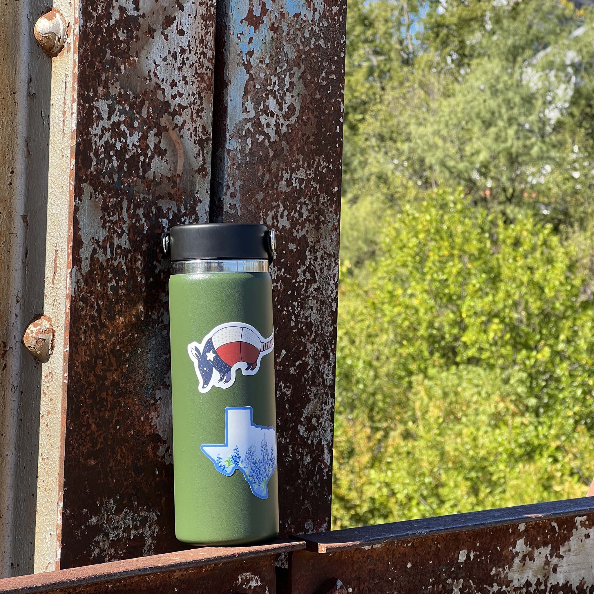 Texas Armadillo Sticker