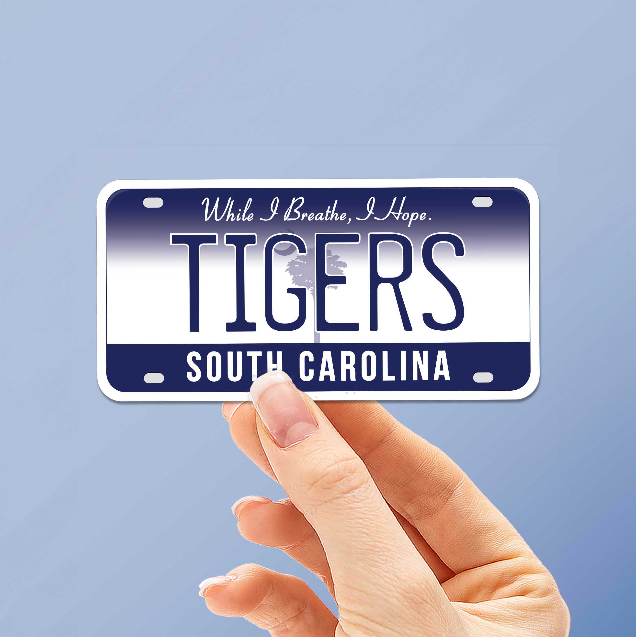 South Carolina License Plate Stickers - Choose Your SC City Decal