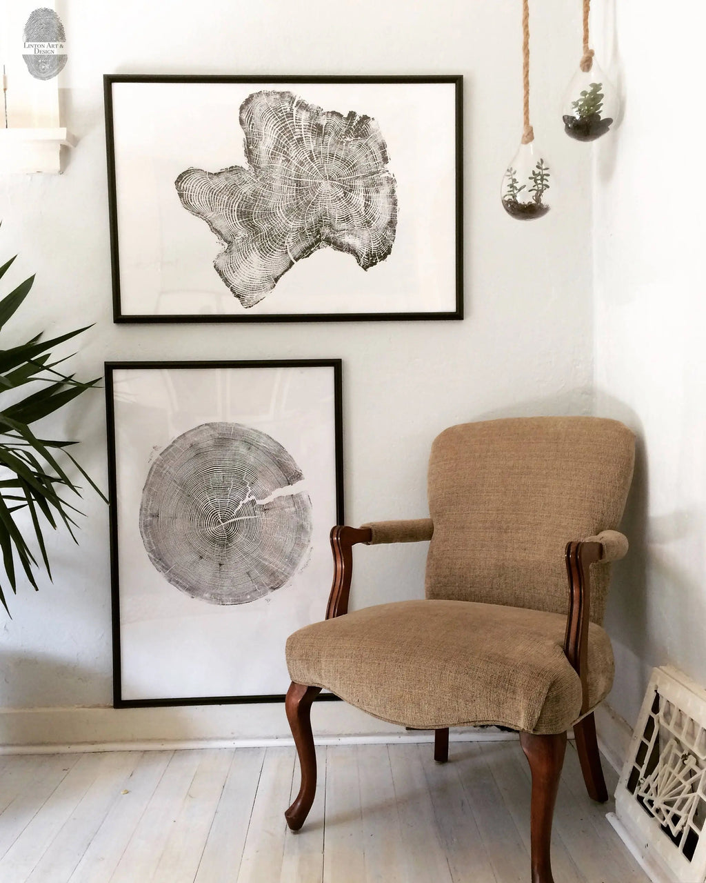 Tree Ring Triptych Wall Art • Set of 3 Panel Tree Stump Prints • Large Tree Ring Print Set • Nature-Inspired Wall Art