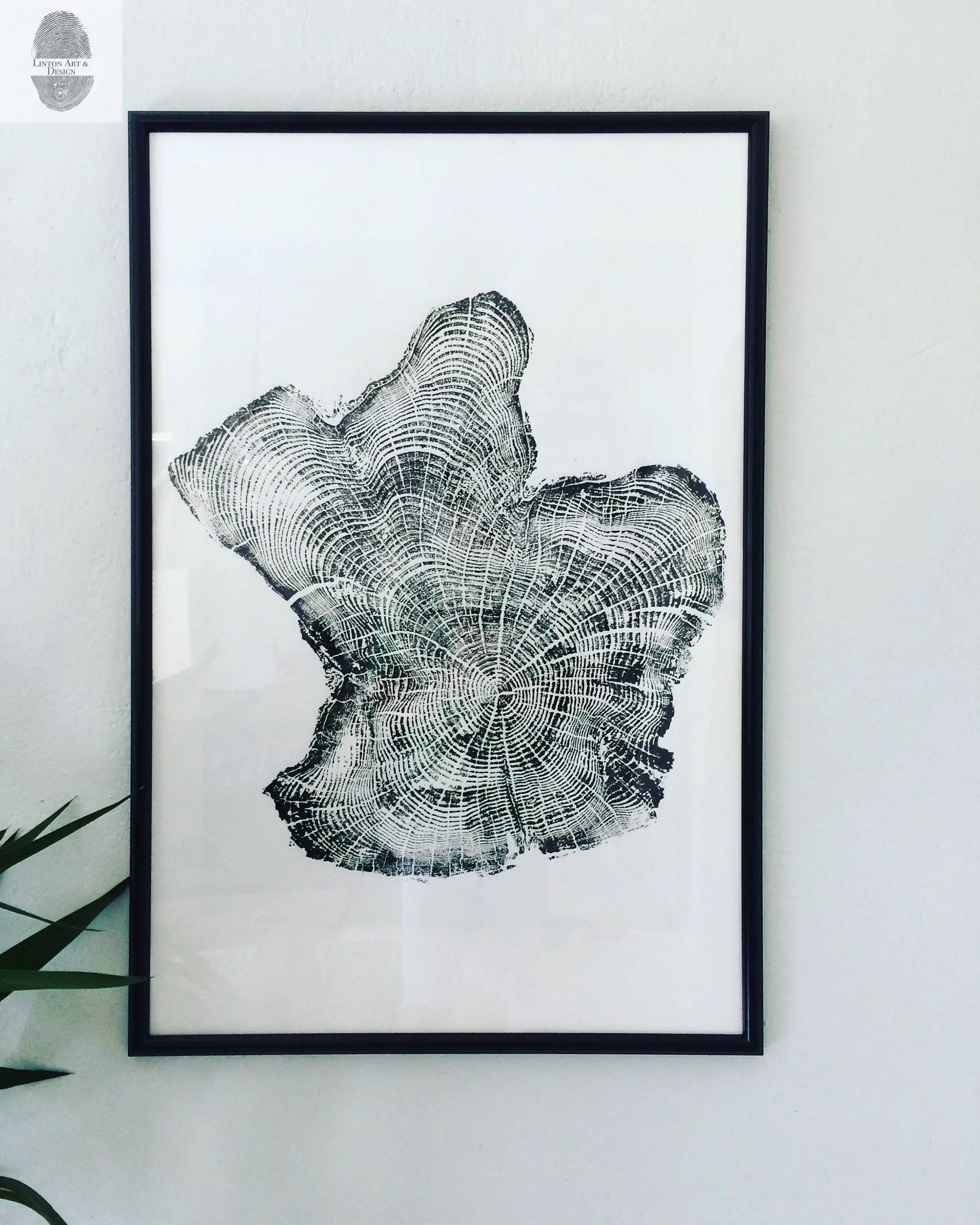 Tree Ring Triptych Wall Art • Set of 3 Panel Tree Stump Prints • Large Tree Ring Print Set • Nature-Inspired Wall Art