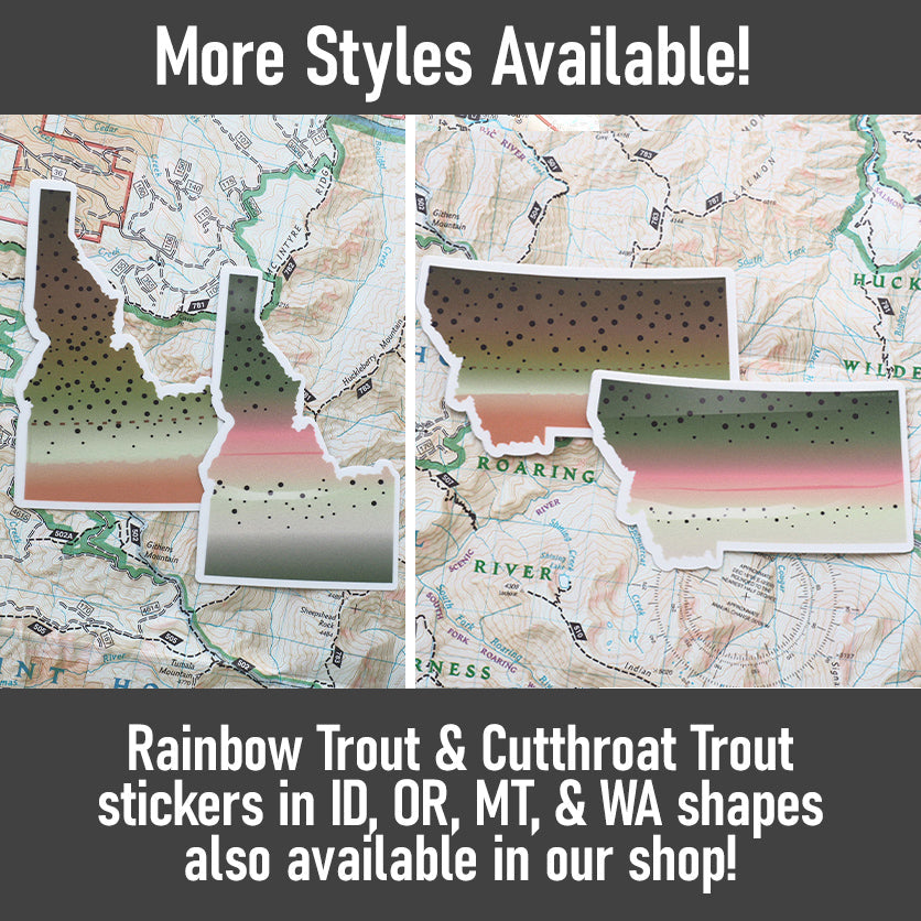 Cutthroat Trout Washington Fishing Sticker