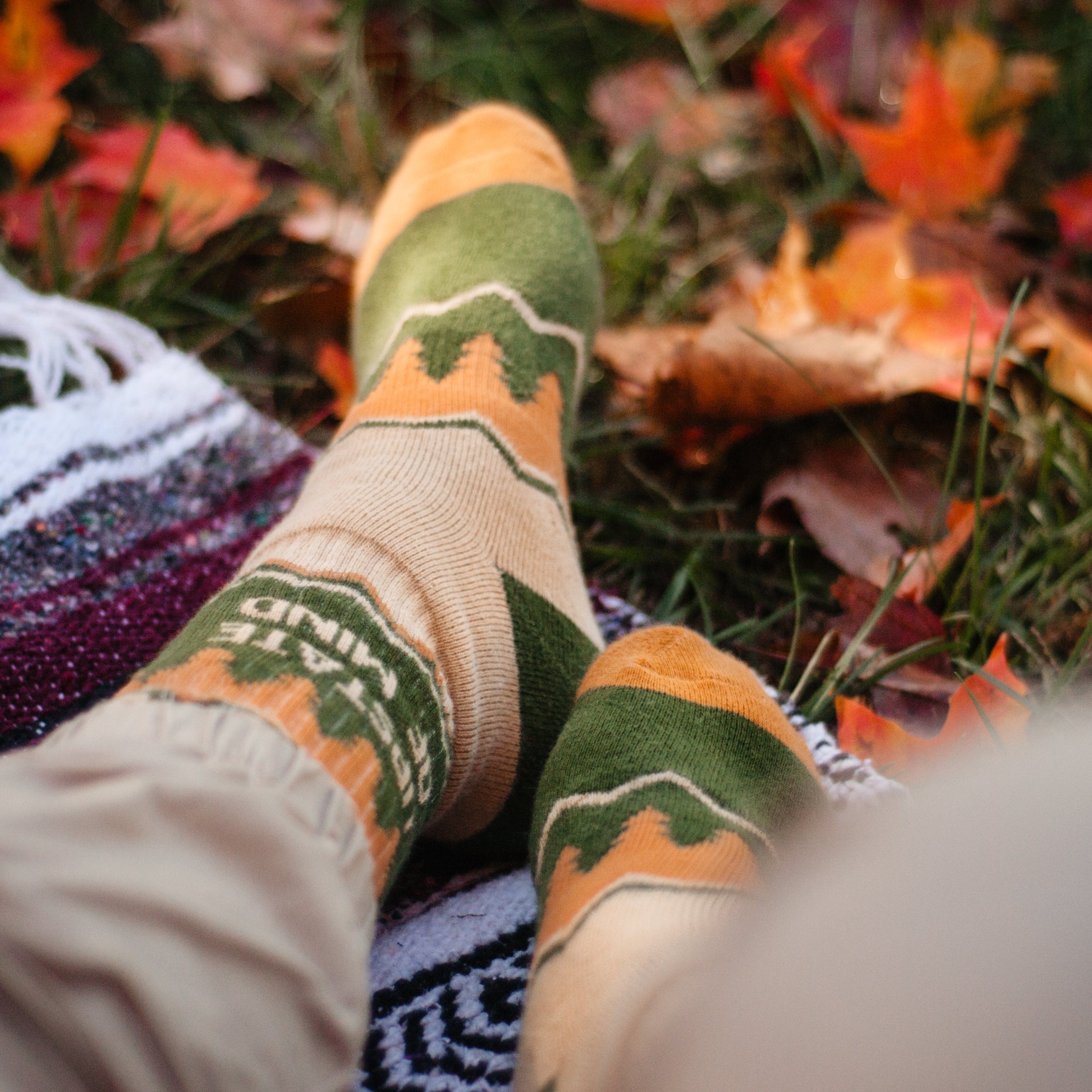 Upstate of Mind Standard Socks - Green / Tan
