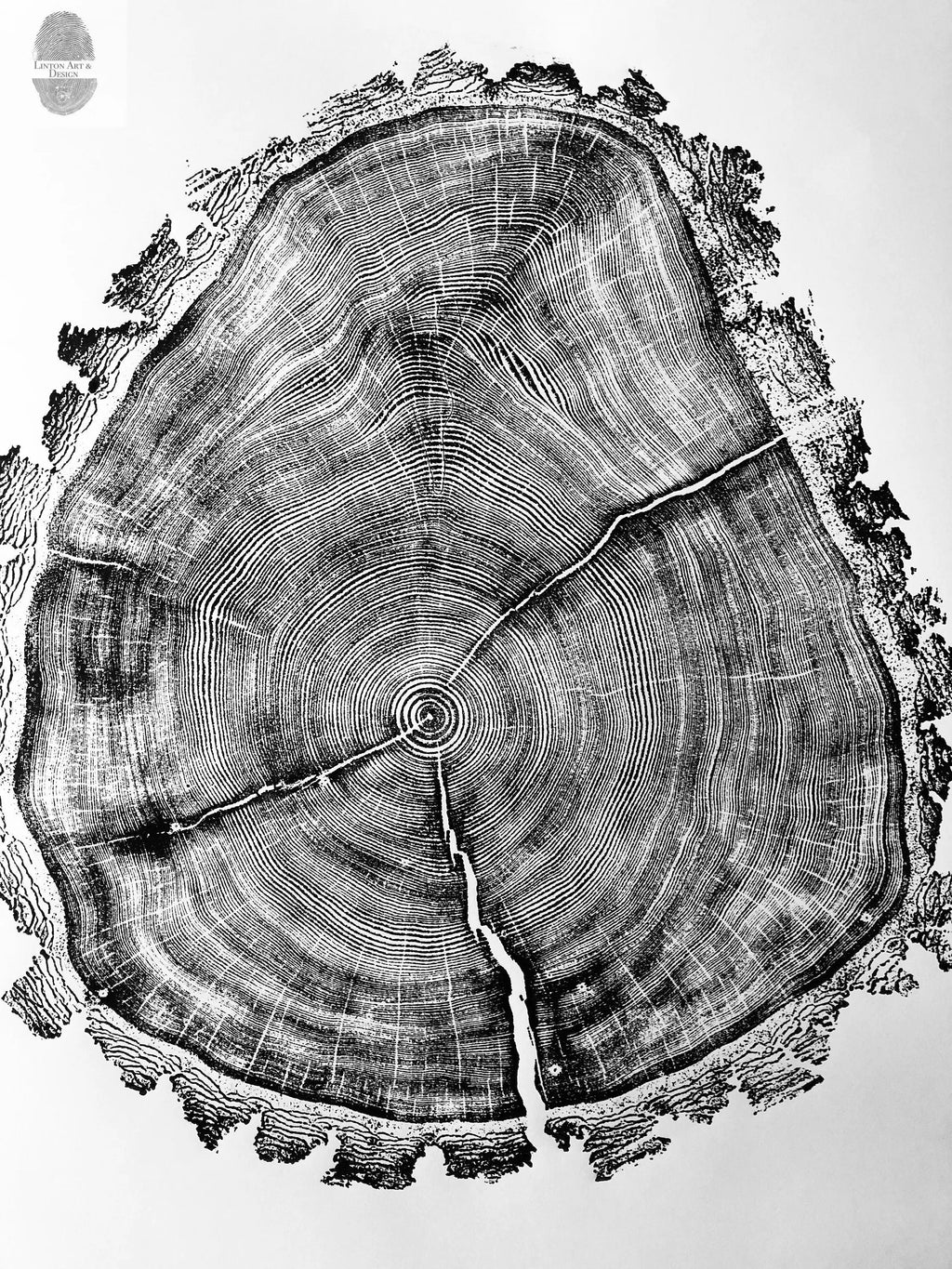 Utah Art, Tree Ring Print, Ski Art, Lumber, Shabby Tree, Wood Slice Wall Art, Natural Wood Slices