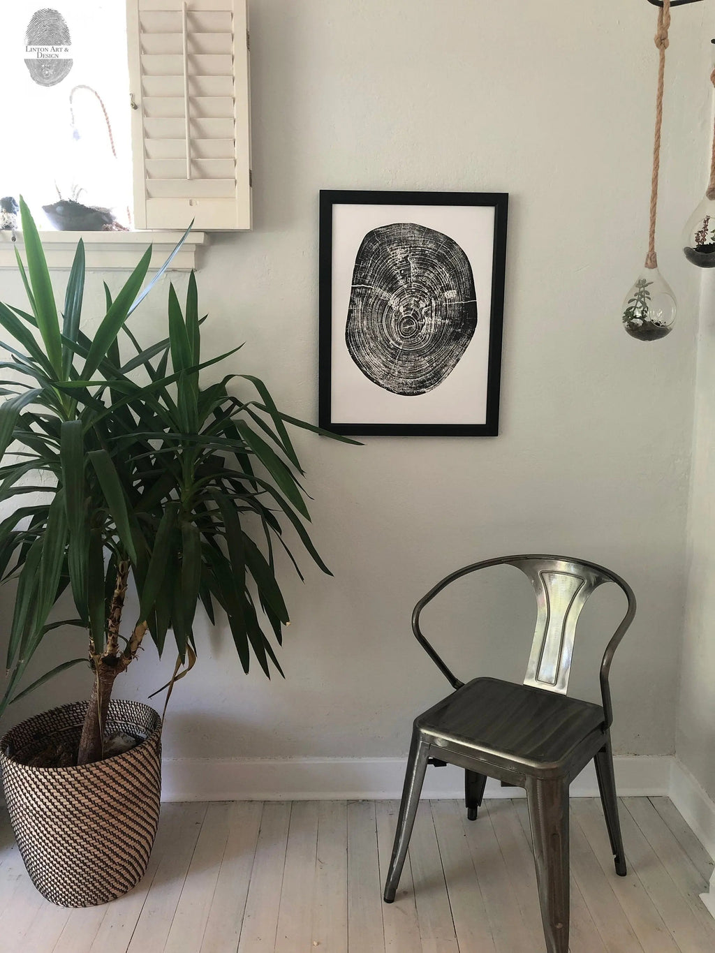 Waco, Texas Pecan - 18x24 print