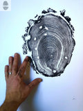 Walden Pond Print, Massachusetts Tree Ring Print - 18x24 print - Signed Original