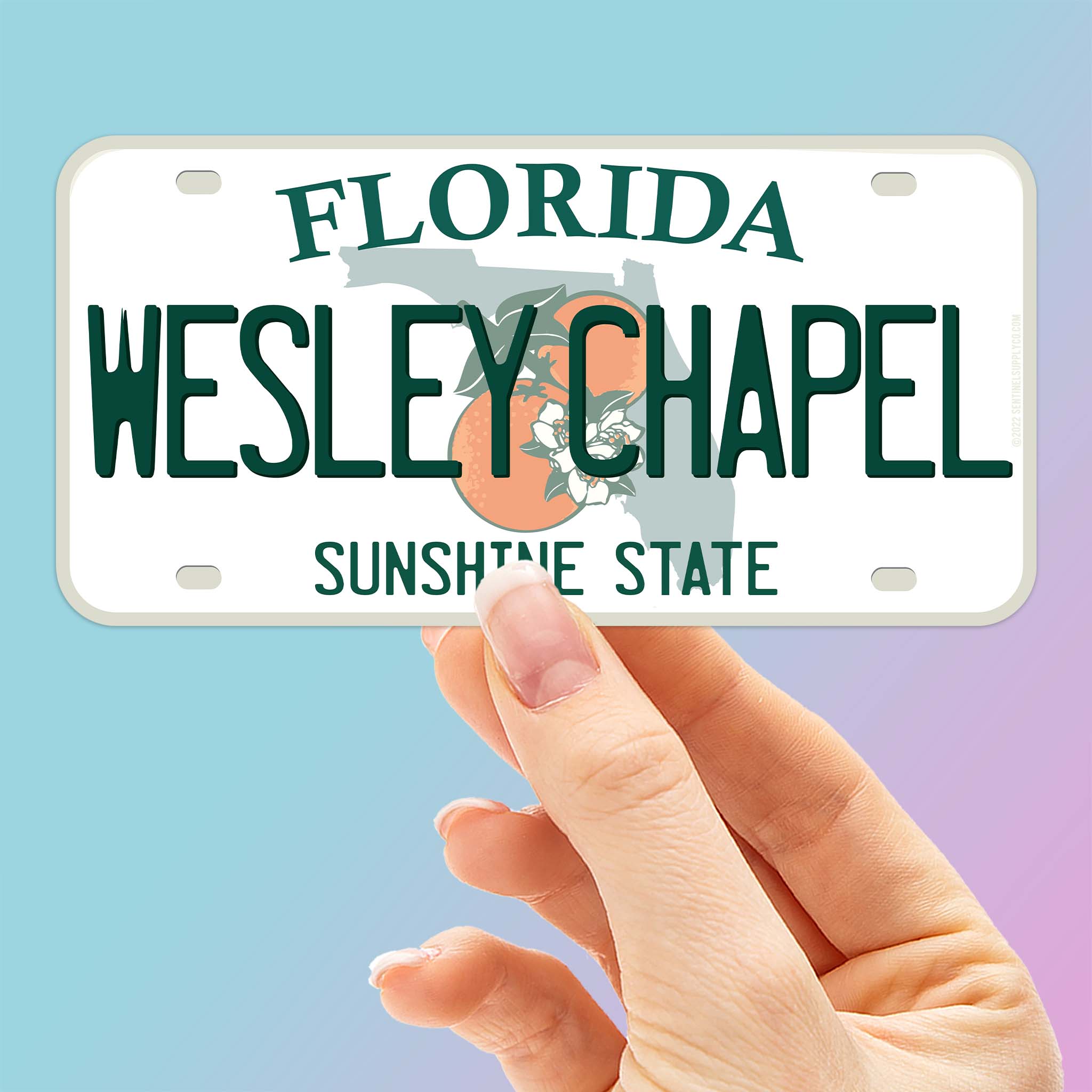 Florida License Plate Stickers - Choose Your FL City or National Park Decal
