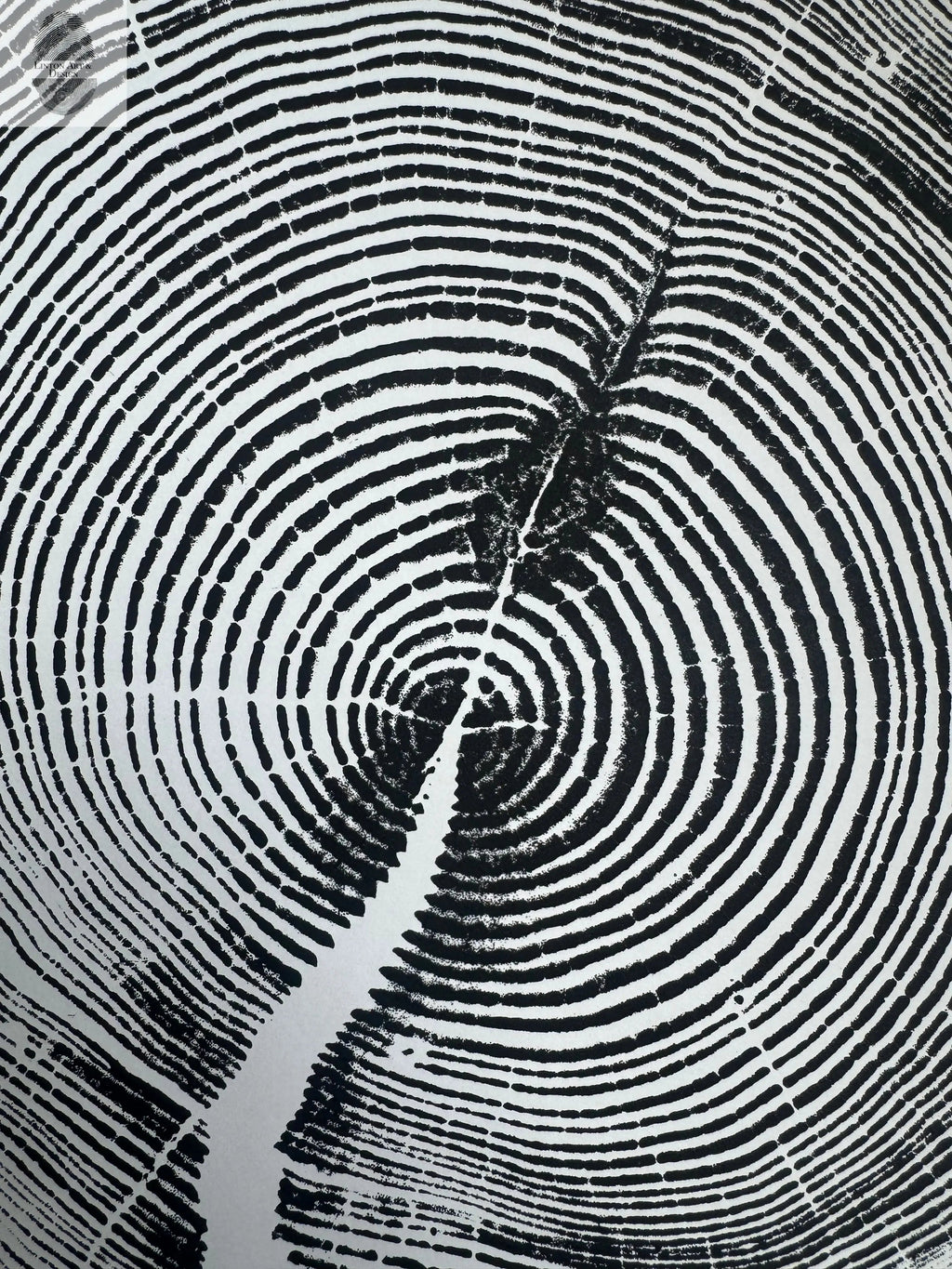White Pine Tree Ring Impression – Taylor County, WI – 18x24 Signed Artwork