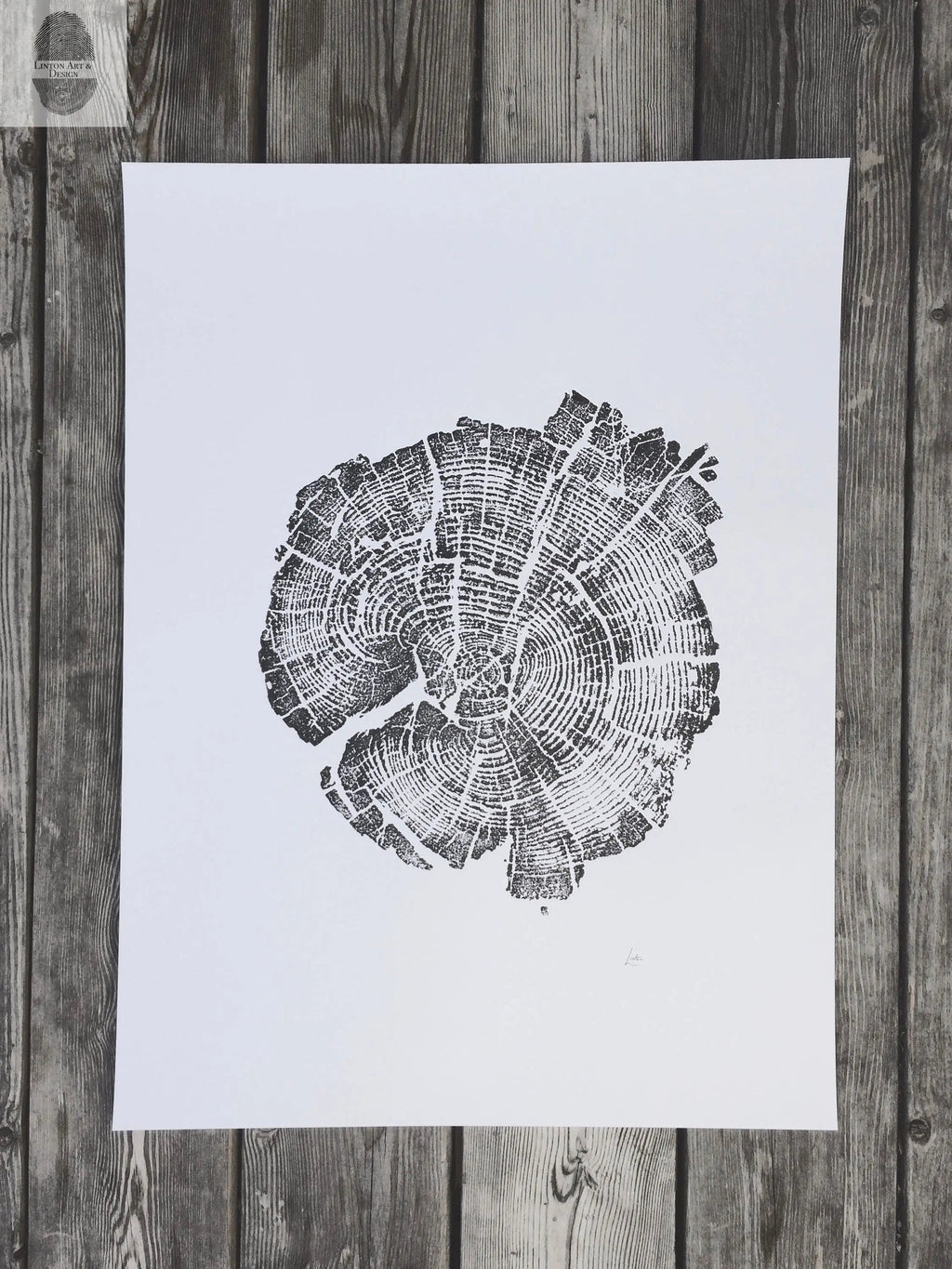 Yellowstone Pine - 18x24 print